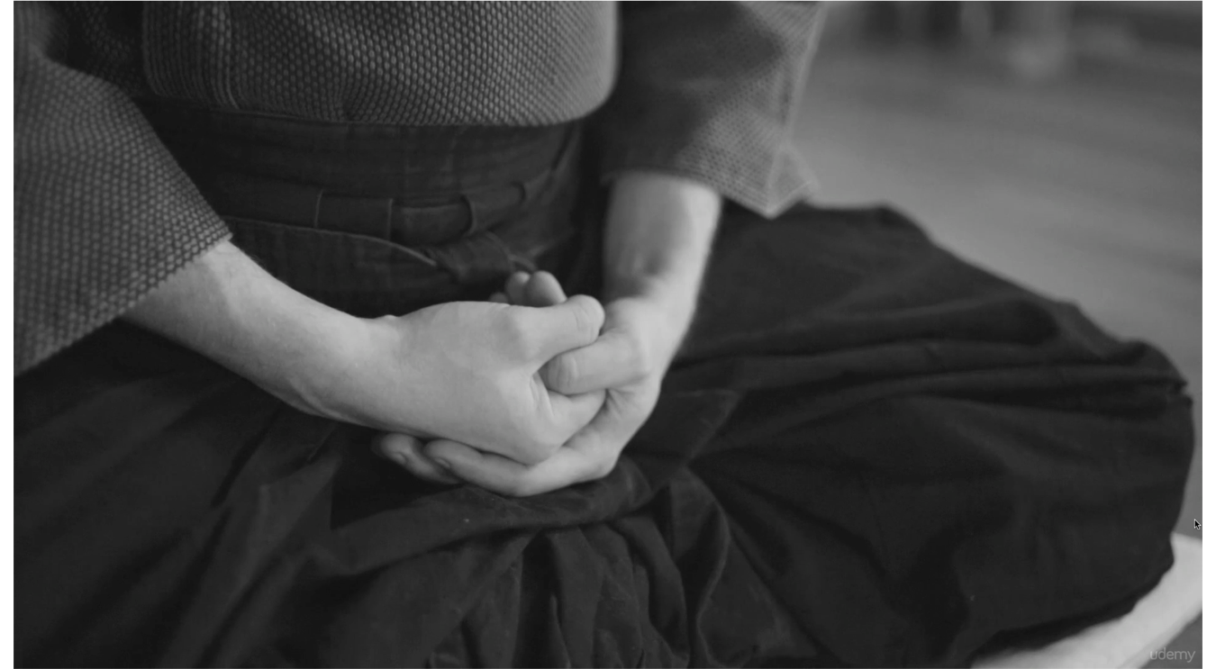 zazen hands.sit.png
