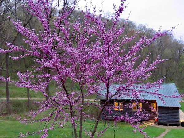 Introduction to Zen Training: Zazen, Kado, Manual Labor