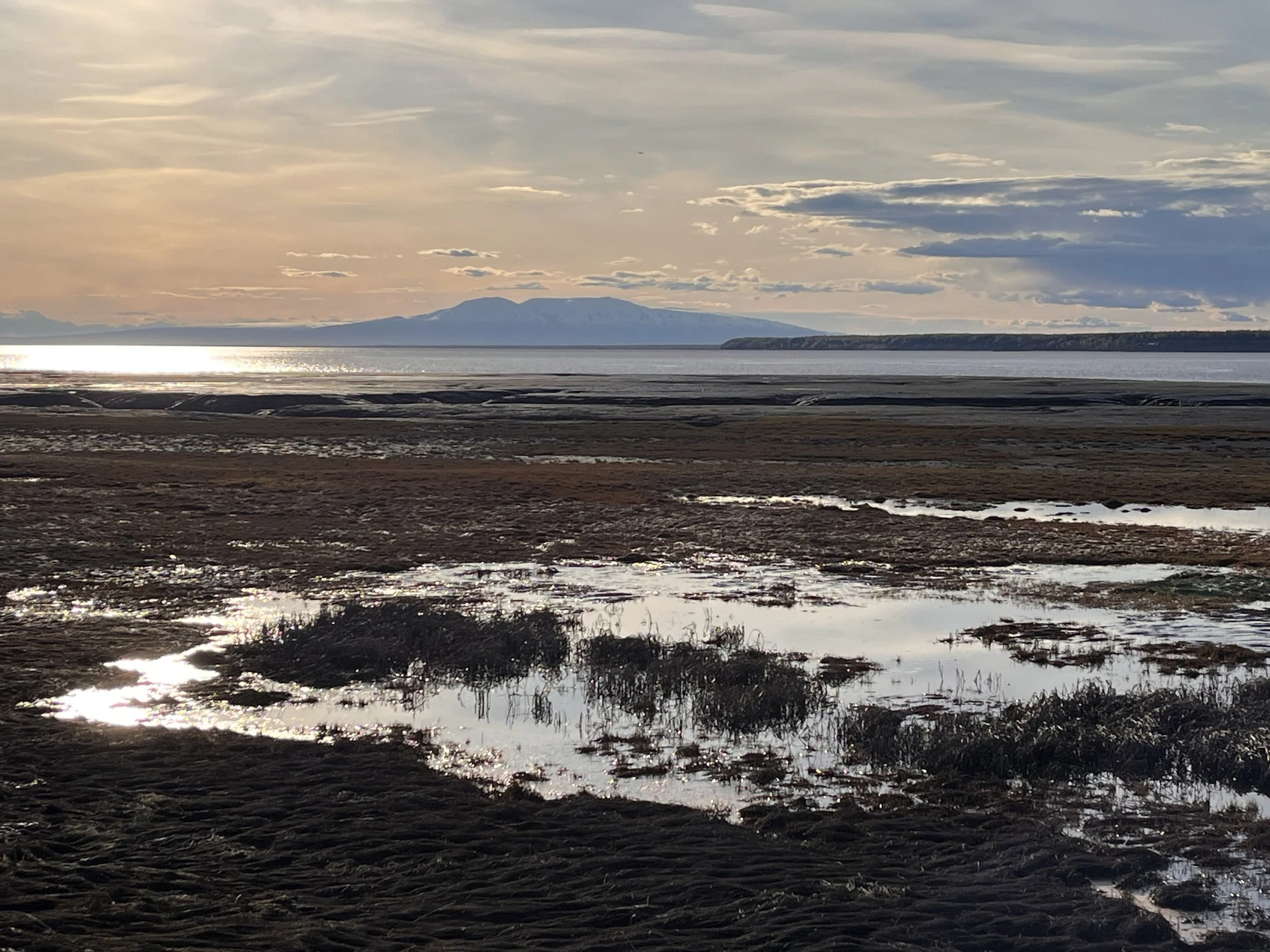 Wading through the muck