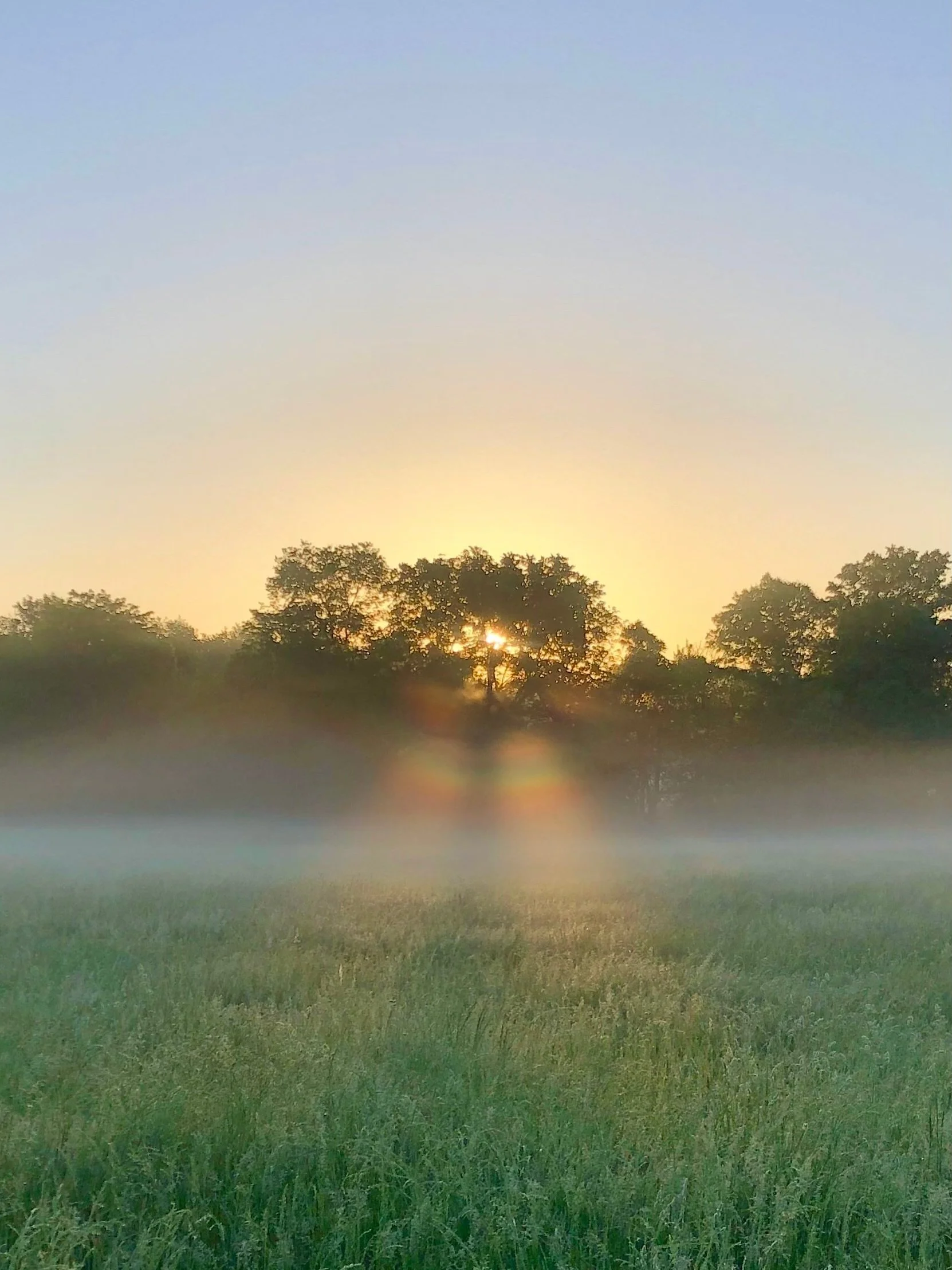 Online Zendo | Virtual Dojo — Chosei Zen