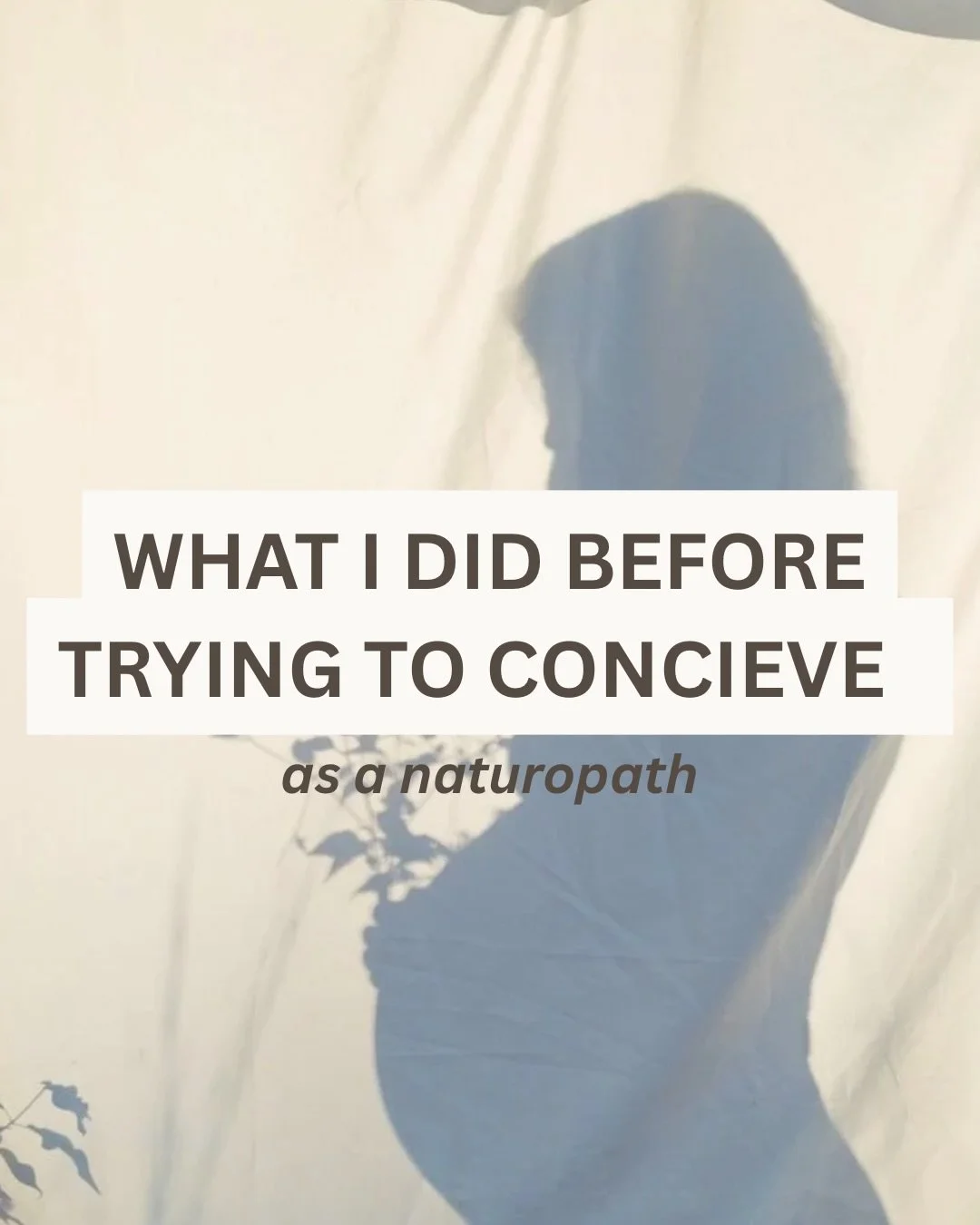 What I did as a clinical naturopath before trying to conceive &mdash; 

Fertility isn&rsquo;t just about ovaries and sperm, it&rsquo;s about gut health, hormones, stress, nutrient levels, blood sugar and inflammation.

As always, sending my love to a