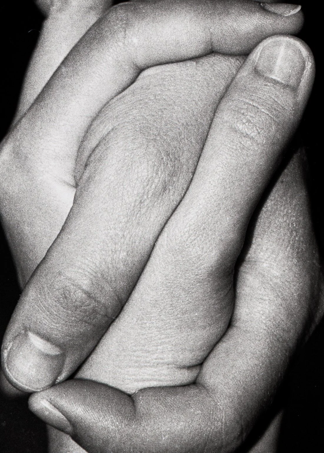 img03.jpg