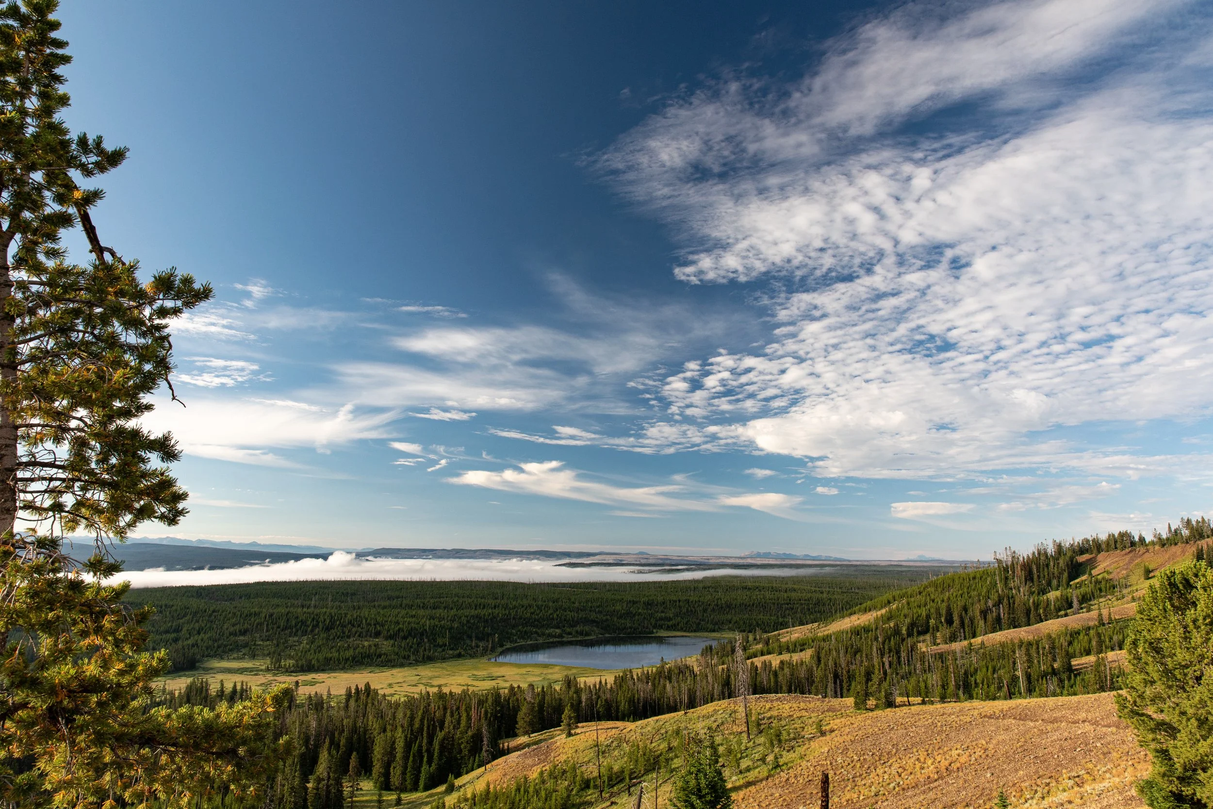Yellowstone Morning.jpg