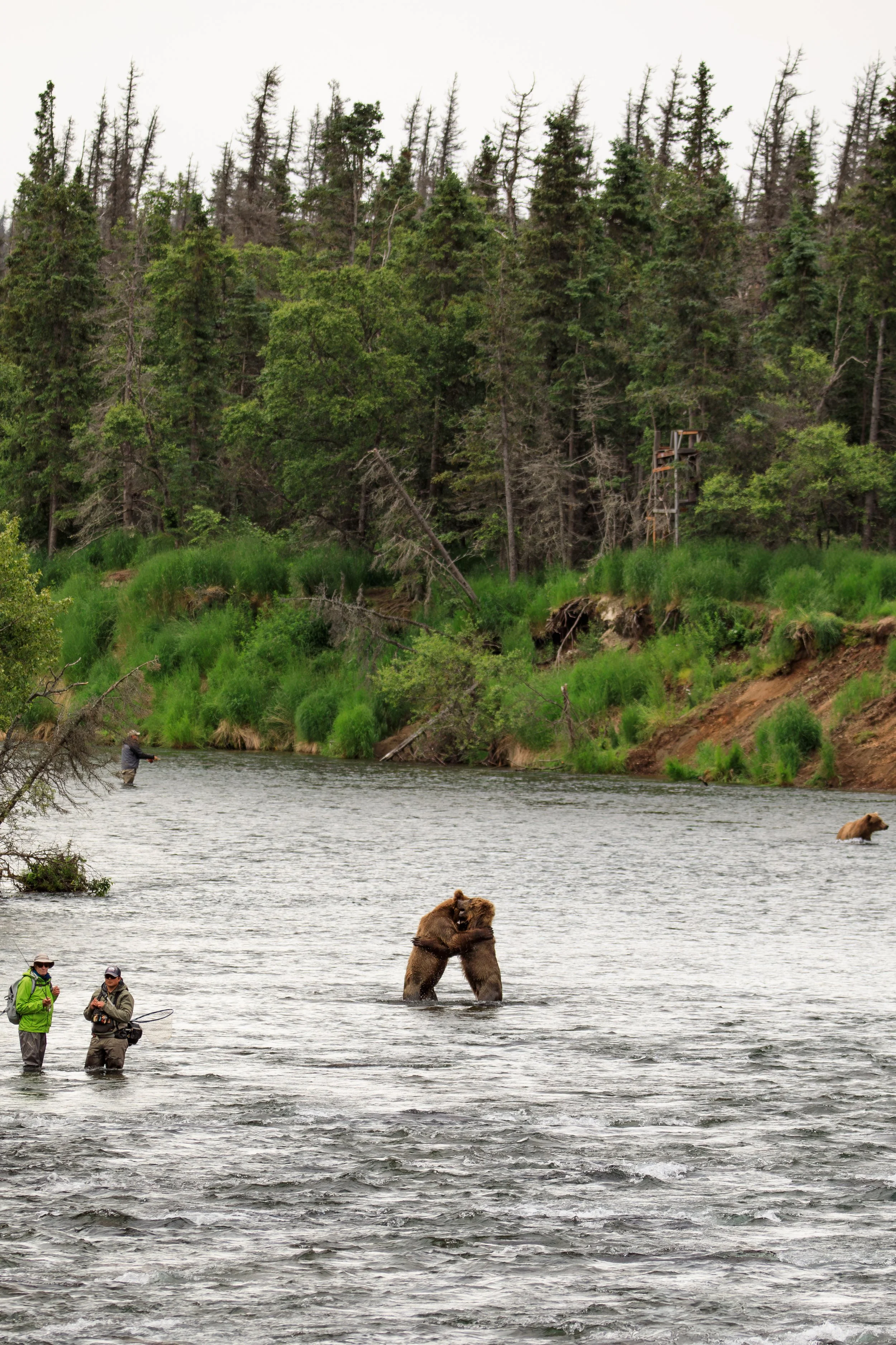Alaska-18--1800-Enhanced-NR-PS.jpg
