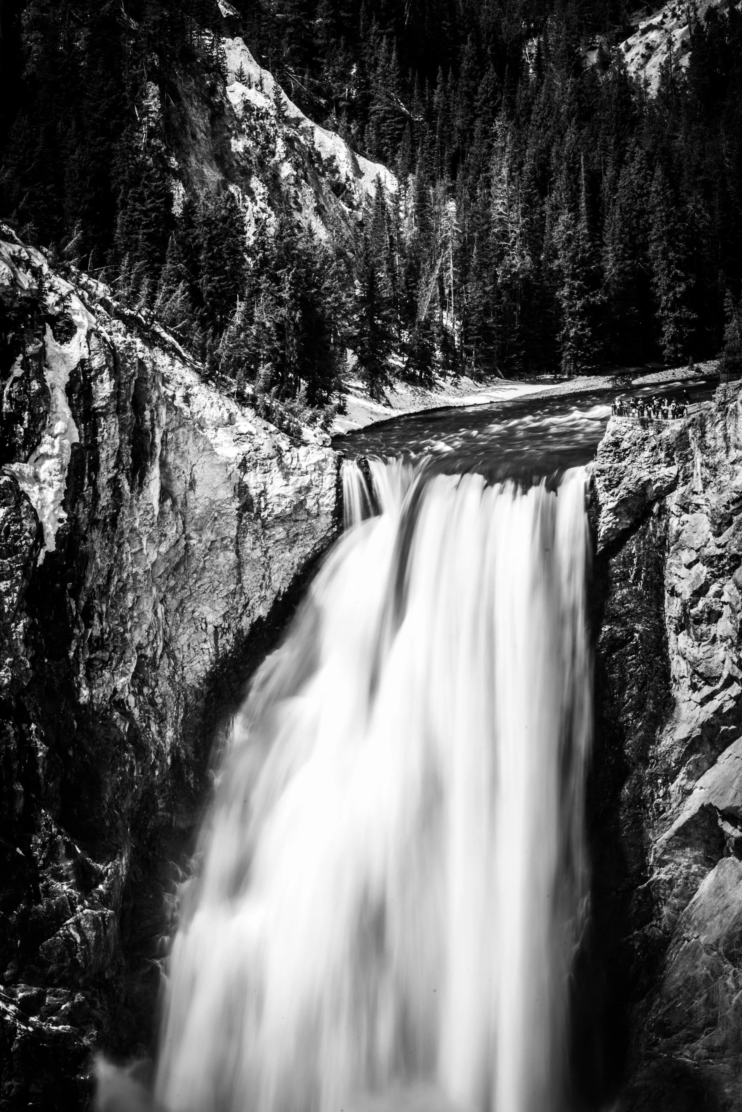 R51_3338.jpg
