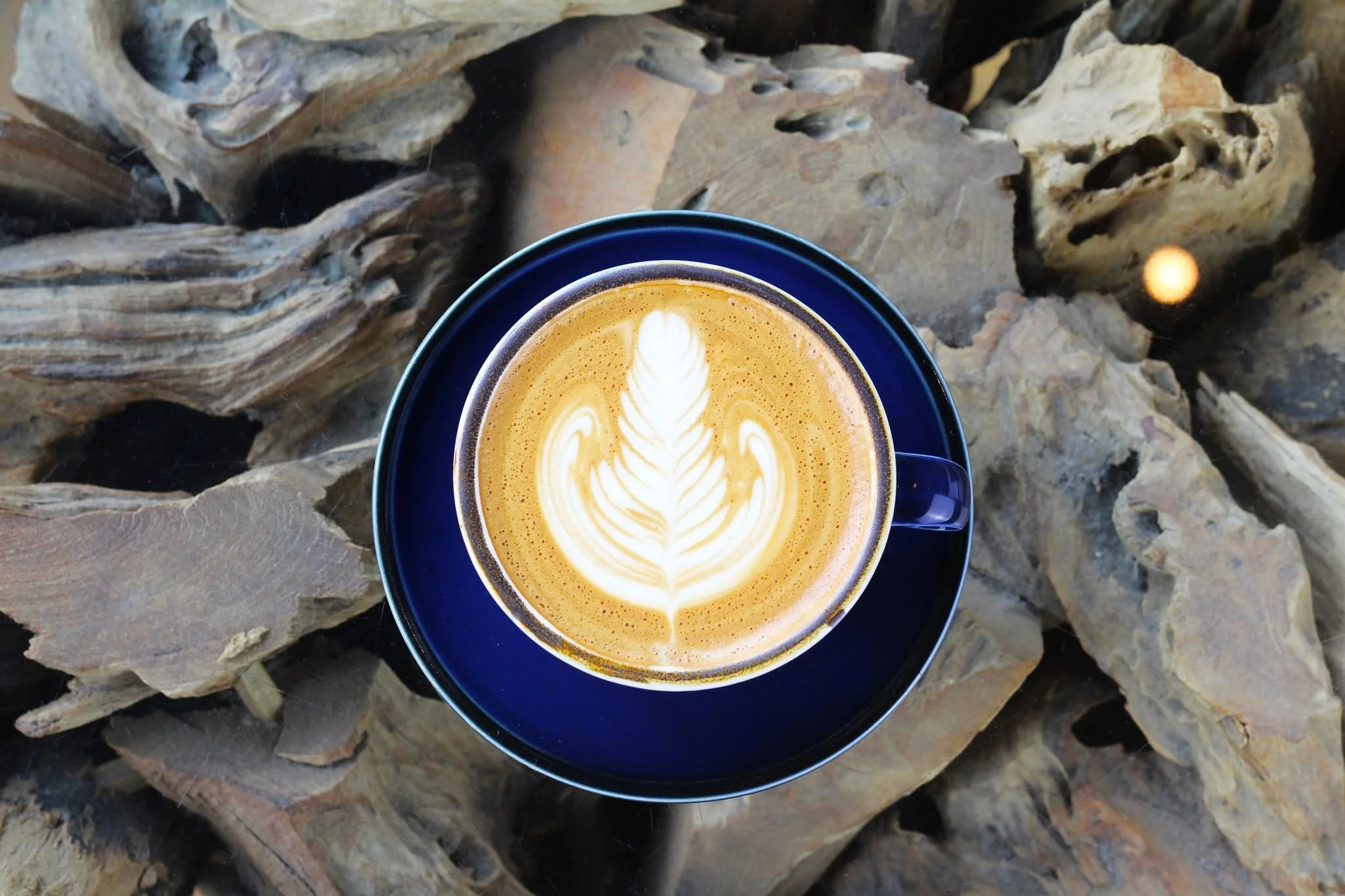 Buckle up, buttercup!  It&rsquo;s Fri-yay and the weekend don&rsquo;t wait for nobody.  We&rsquo;re here slinging coffee to fuel your high-octane mornings and cocktails for your chill autumn nights!

Don't forget: it's Negroni week and we got a speci