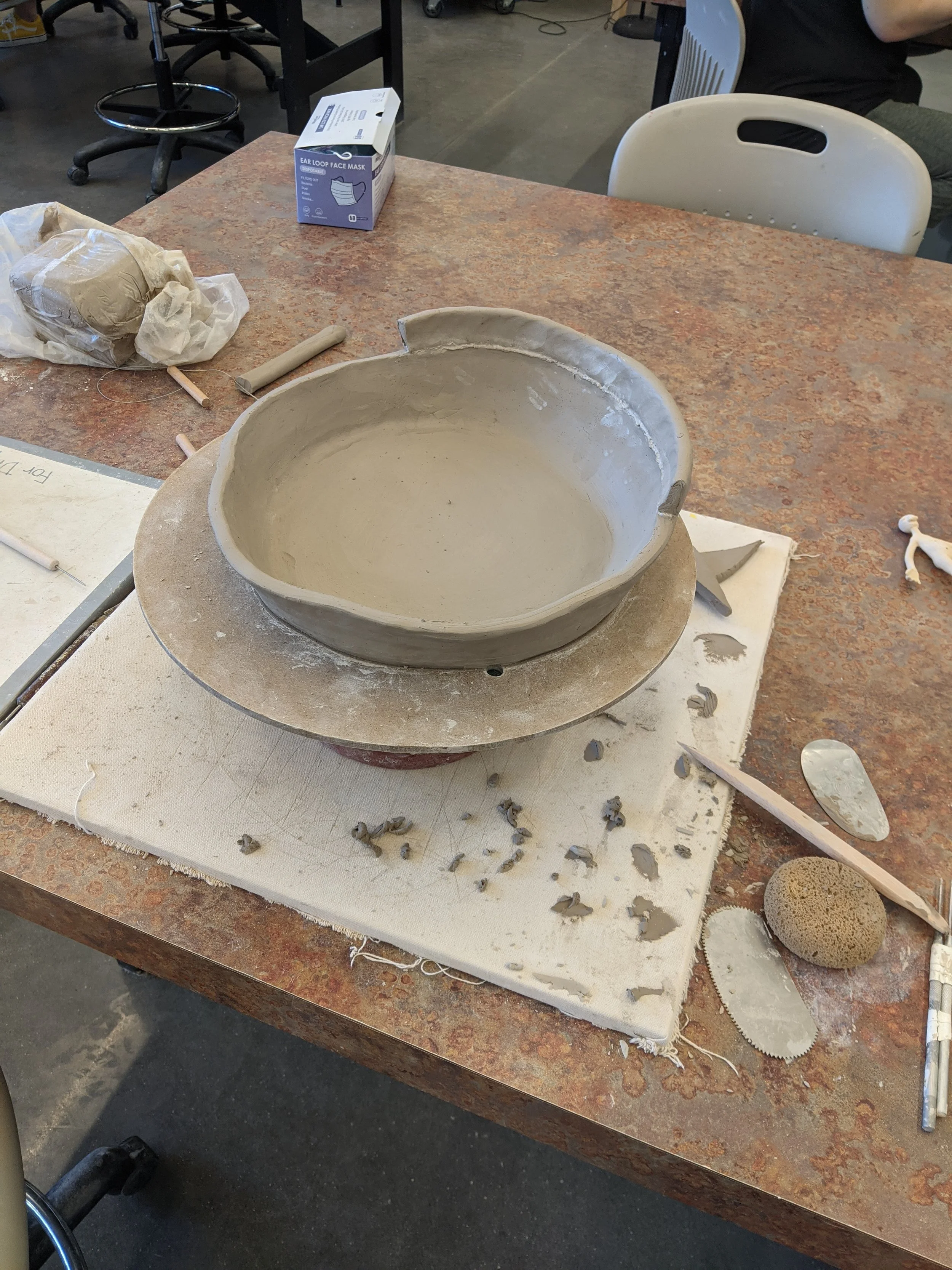 PXL_20201118_161125274.jpeg