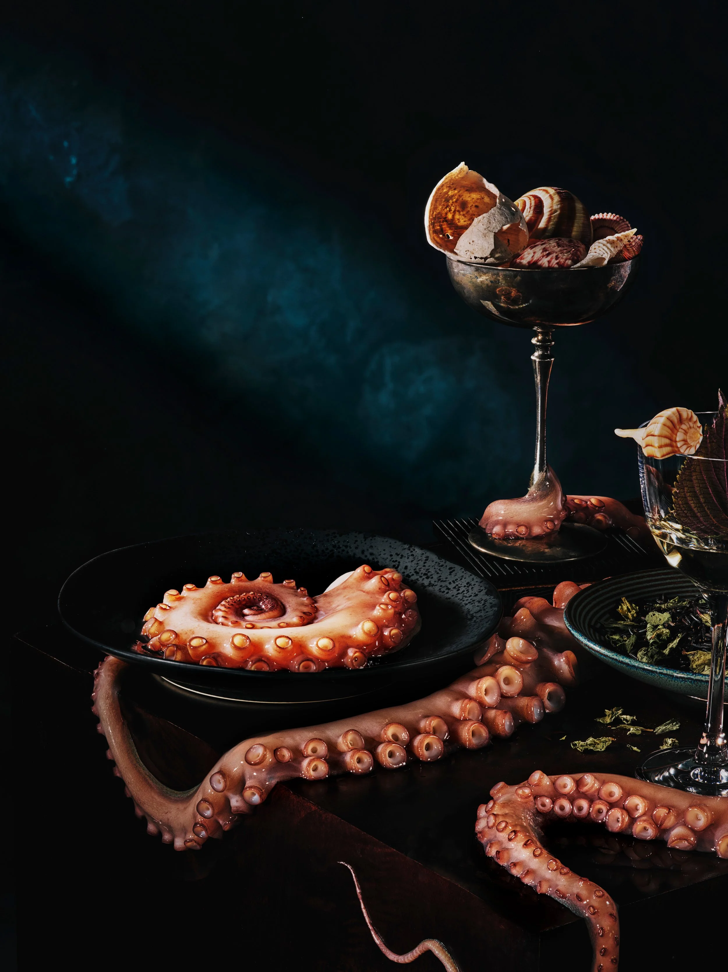 Octopus_Hero_V2.JPEG