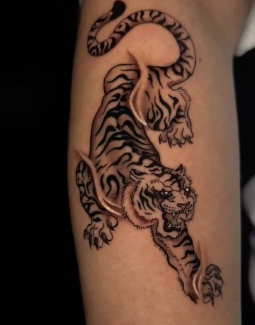 Screenshot 2026-02-26 at 12.00.43 pm.png