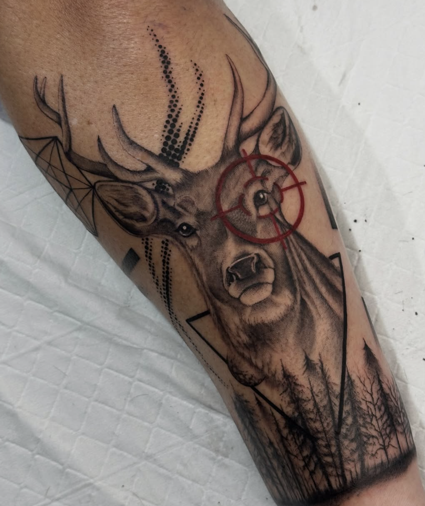 Screenshot 2026-02-26 at 12.13.52 pm.png