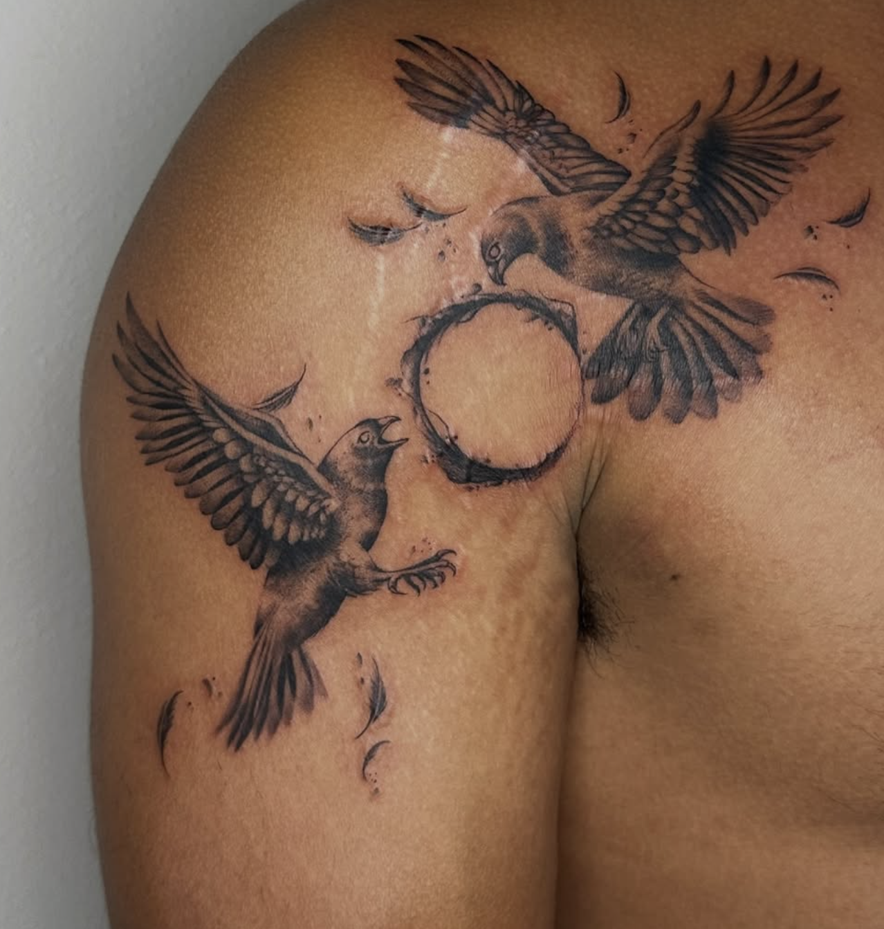 Screenshot 2026-02-26 at 12.12.09 pm.png