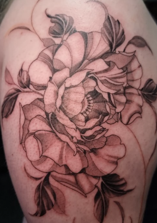 Screenshot 2026-02-26 at 12.49.39 pm.png