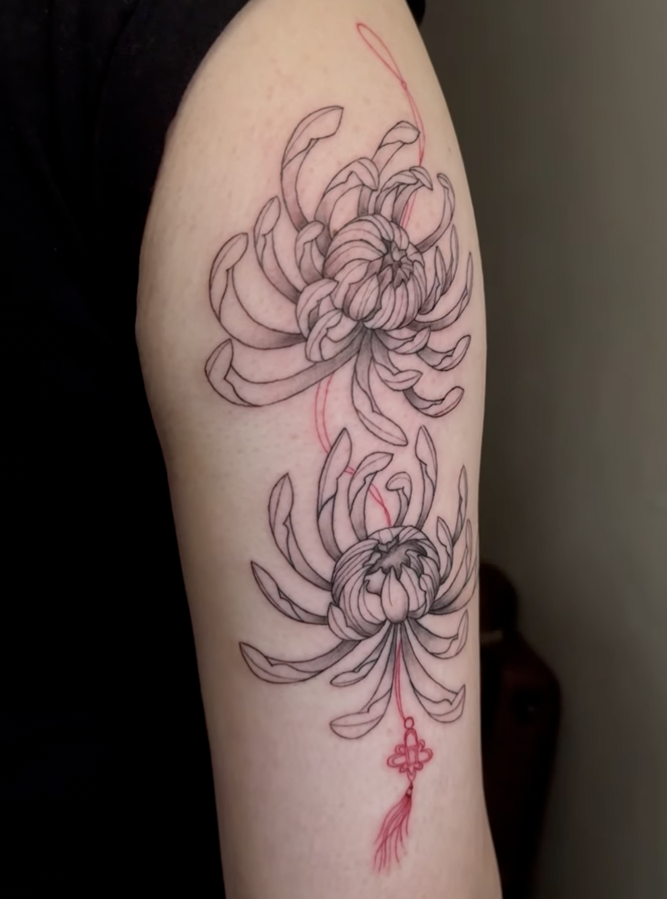 Screenshot 2026-03-05 at 10.56.23 am.png