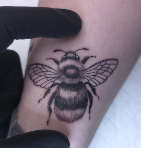 Screenshot 2026-02-26 at 12.50.41 pm.png