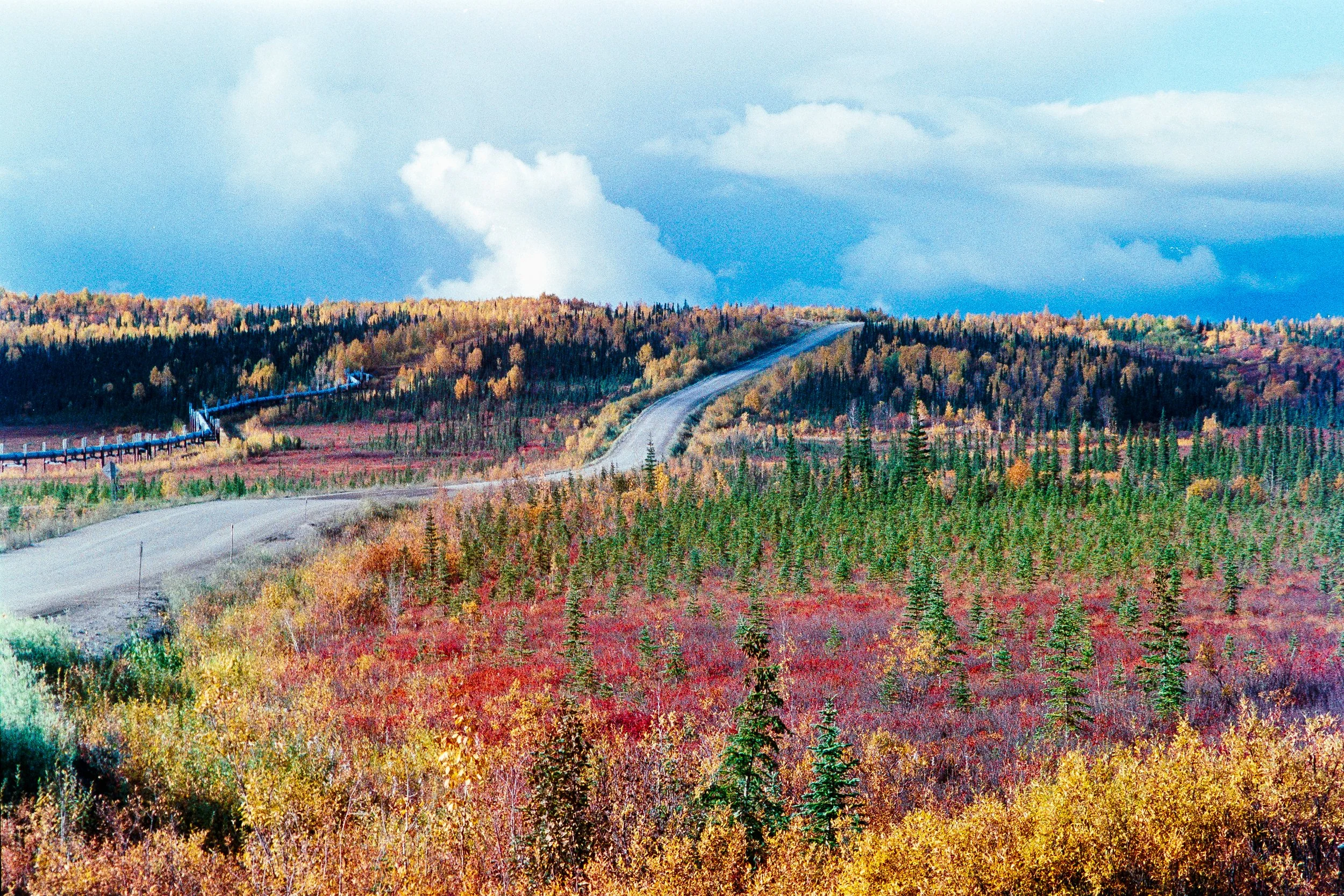 billionth road shot-positive-2.jpg