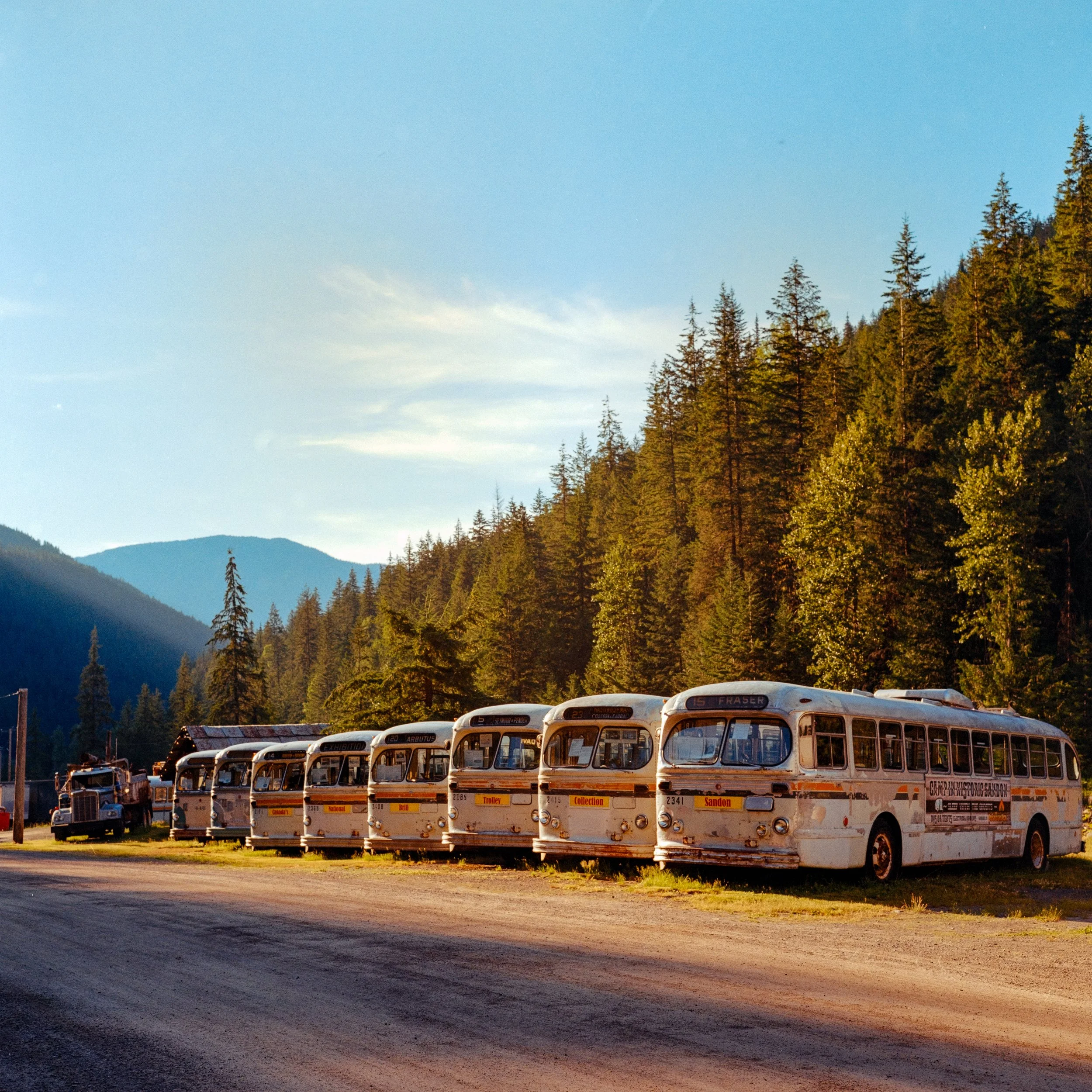 Old bus graveyard/museum