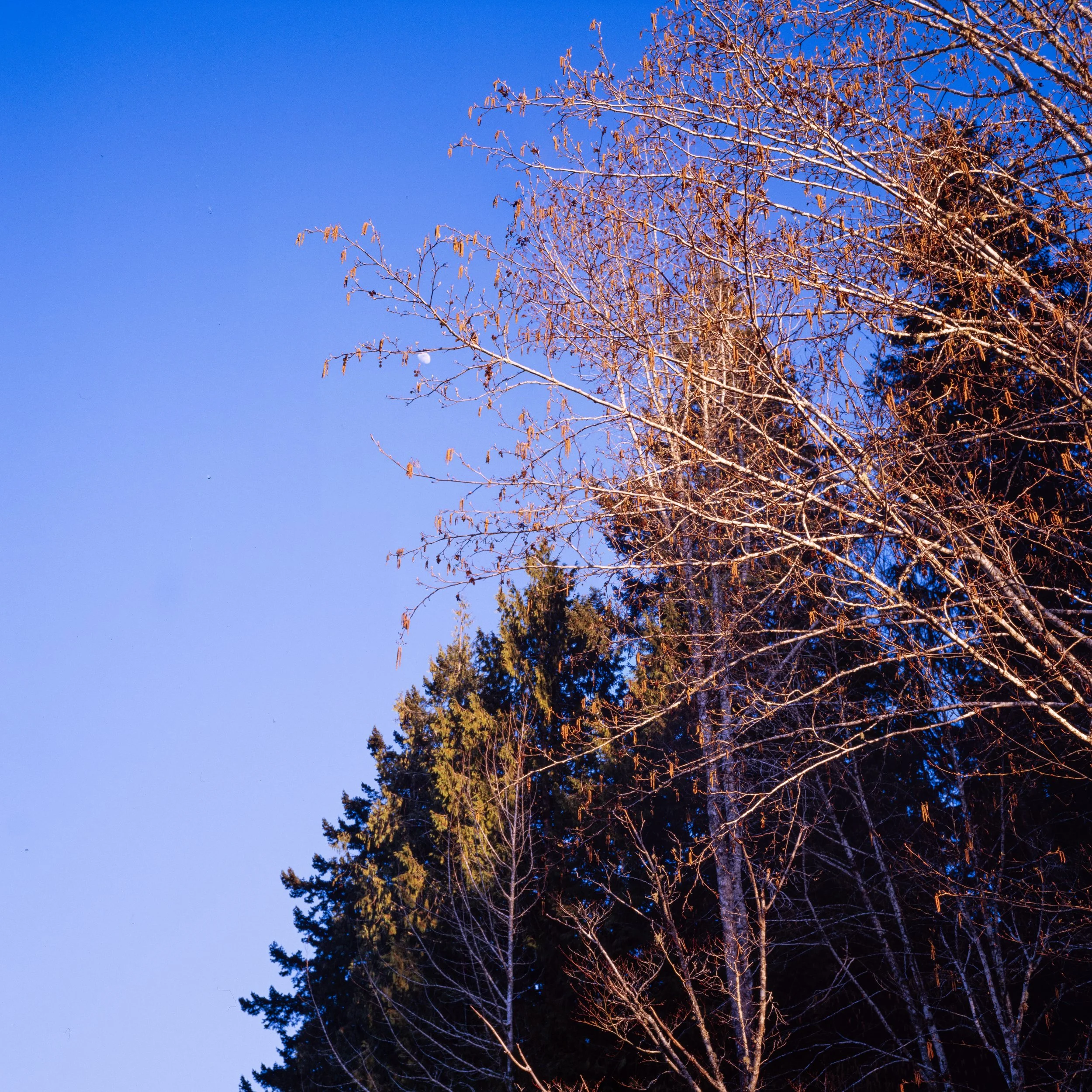 DSCF5004-Pano.jpg