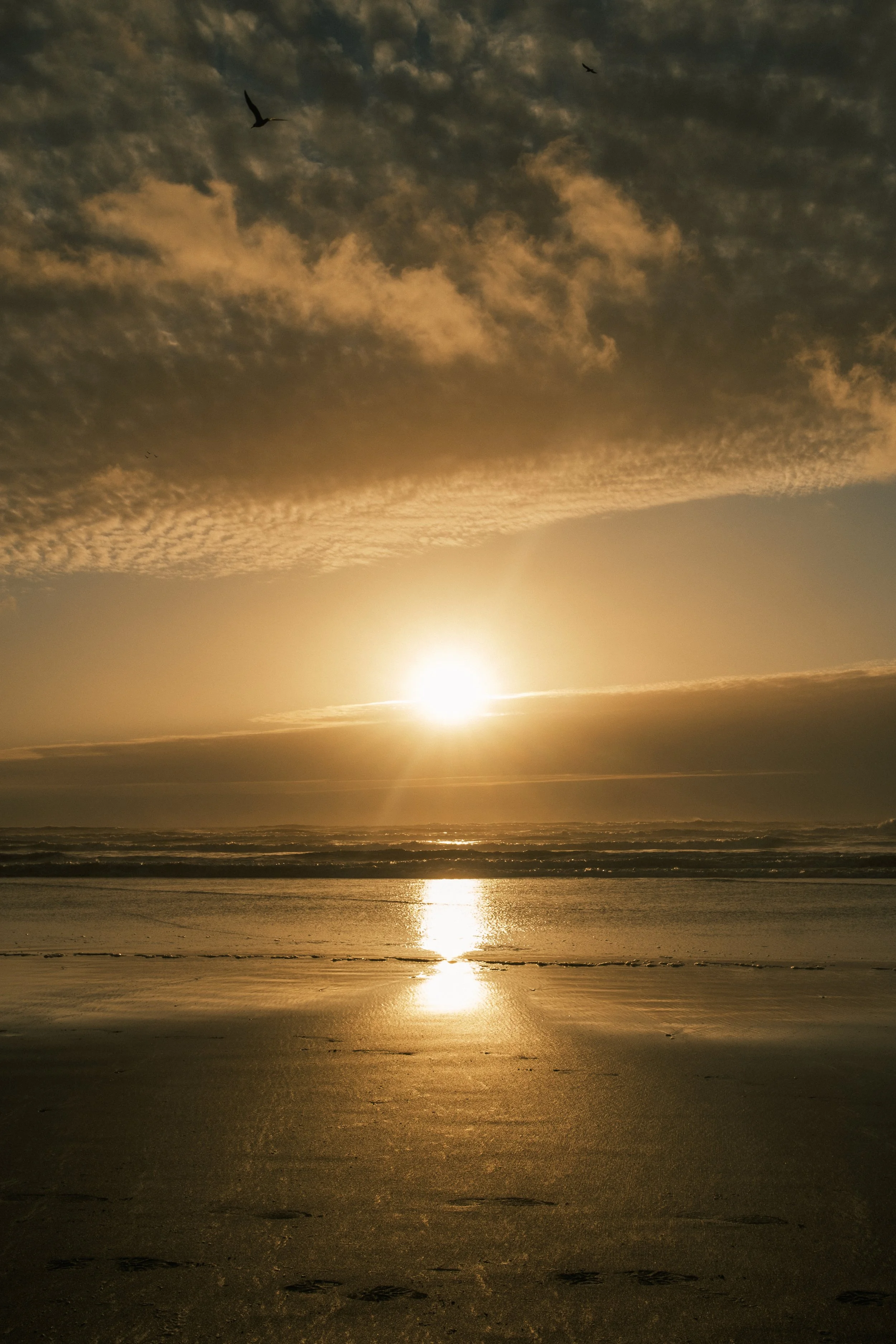 DSCF6315.jpg