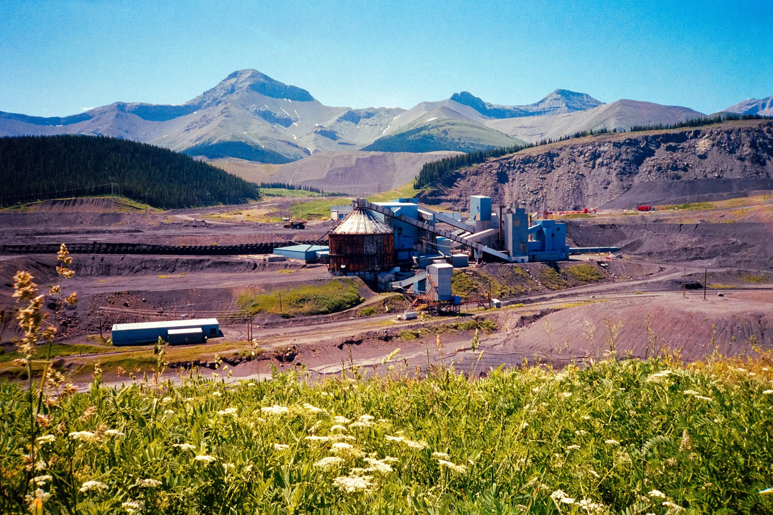 Maple syrup mine