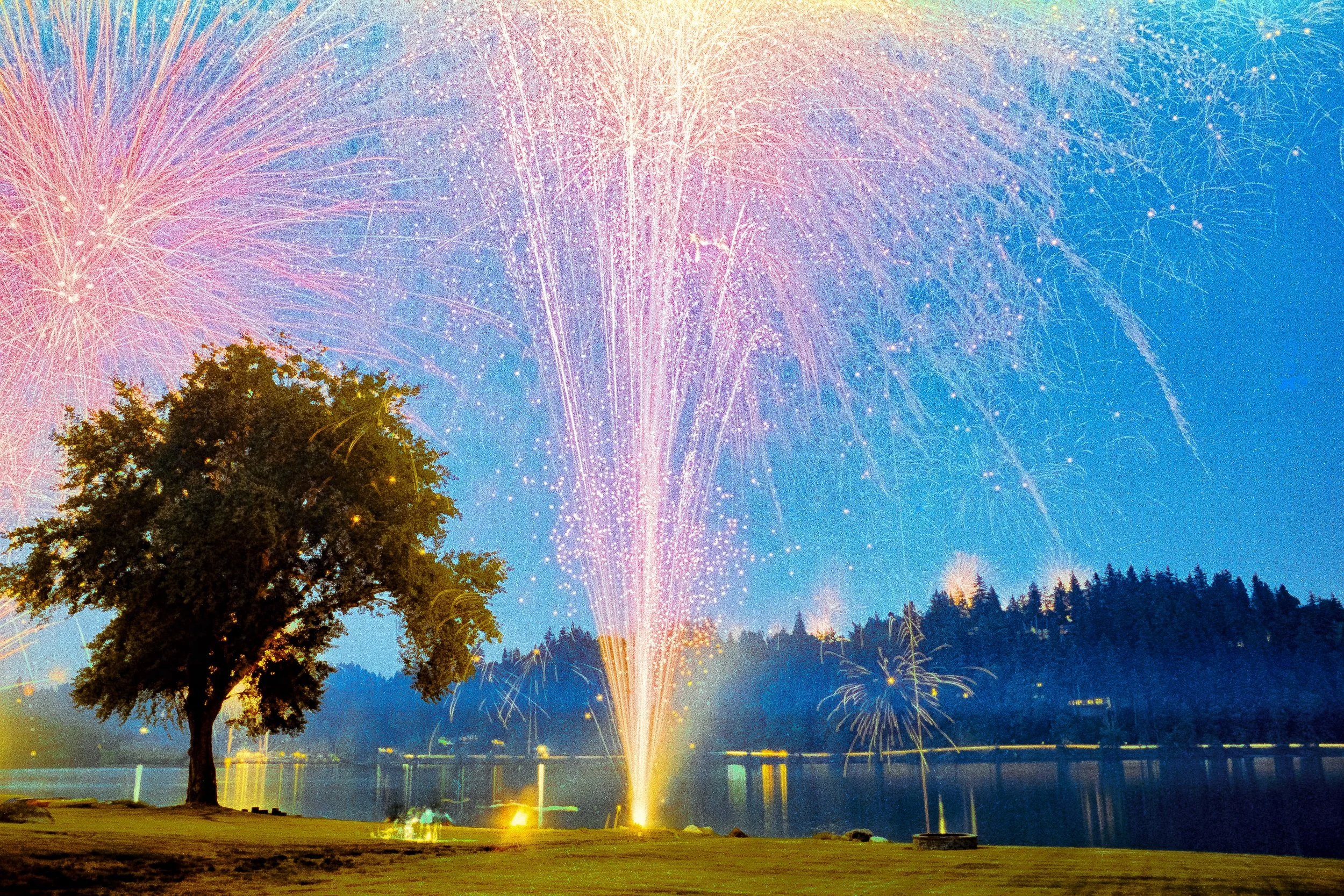 Fireworks by tree-positive.jpg