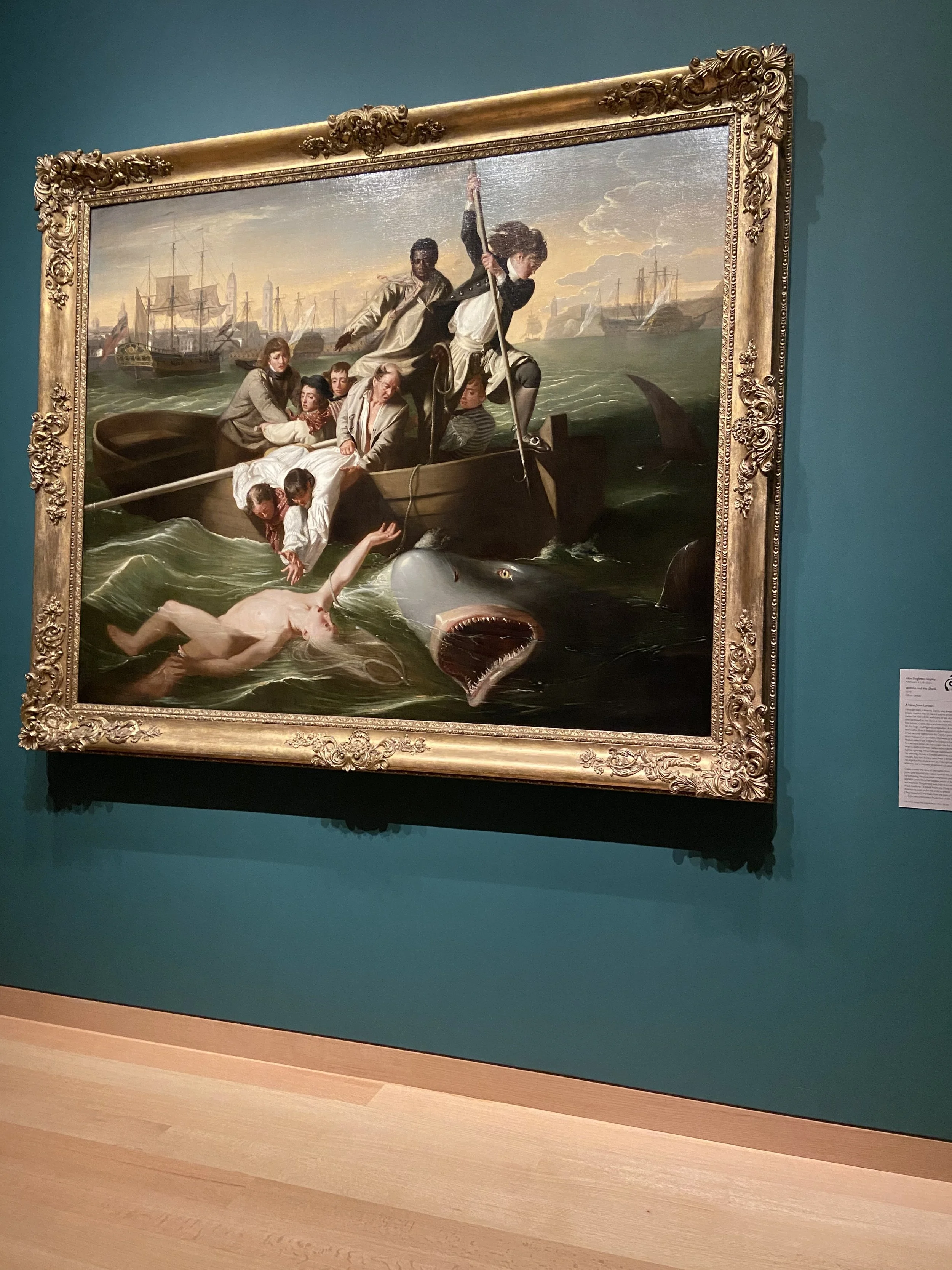 IMG_5608.jpeg