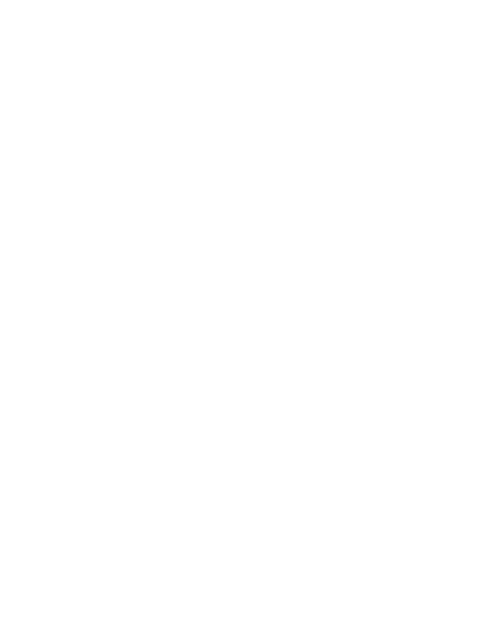 Burger Boiz
