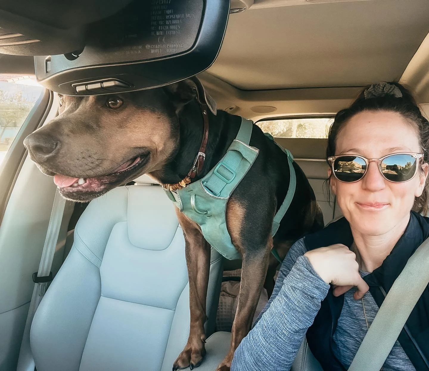 If You&rsquo;ve Been Feeling the Nudge

If something here resonates&hellip; If your body feels curious&hellip; If you&rsquo;ve been sensing there&rsquo;s more available to you&hellip;
Trust that.

You are exactly where you are meant to be. And healin