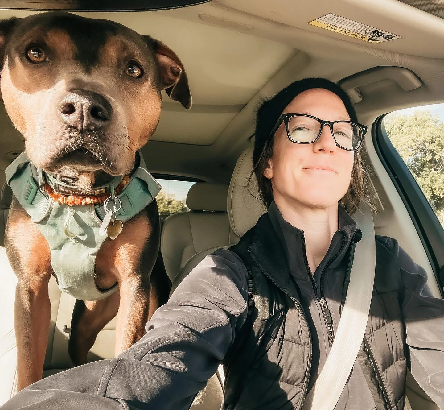 Presence Is the Medicine

I honor my body now.
I listen when it whispers, so I don&rsquo;t have to experience the screams.
 That lesson came from my own autoimmune diagnosis during chiropractic school.

Healing taught me presence.
Presence is what al