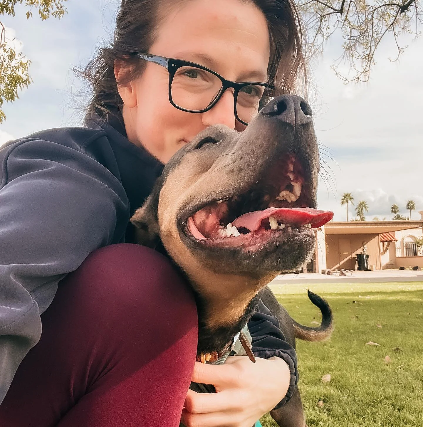 From Minnesota ❄️ to Arizona 🌵

I spent 8 years building a practice in Minnesota.
And then one weekend changed my life.

Three years ago, I spoke at the FlowerLounge Tour in Phoenix.
When I landed, something in my body knew, this is home.

One year 