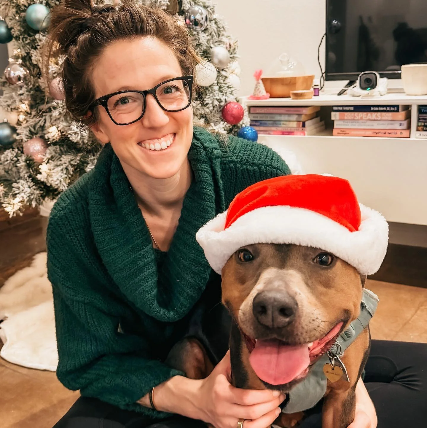 Merry Pitmas from Luna and me 💗🐾

May your home feel warm, your heart held, and your nervous system get a moment to soften. 💗

Holding joy today&hellip; and also holding a tender place, missing Aurora this Christmas 💛  Love doesn&rsquo;t leave &h