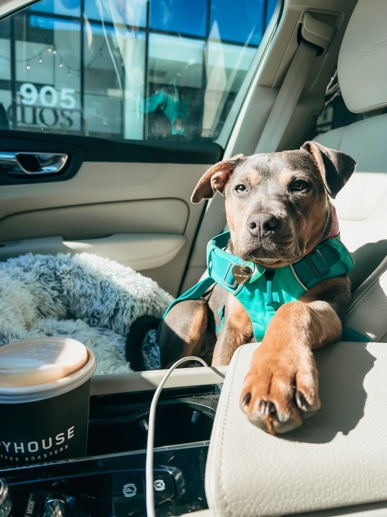 Love That Builds Safety