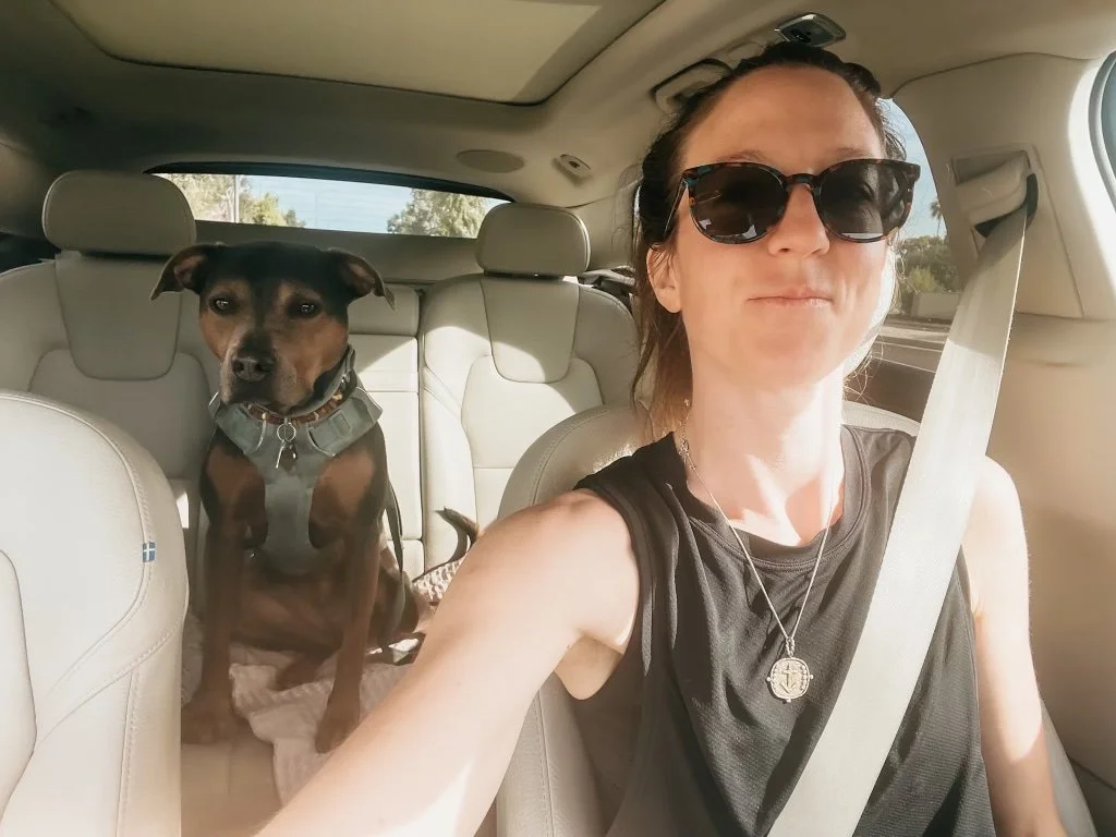 Woman driving with her dog in the back seat, representing grounded leadership, stability, and long-term support in healing containers