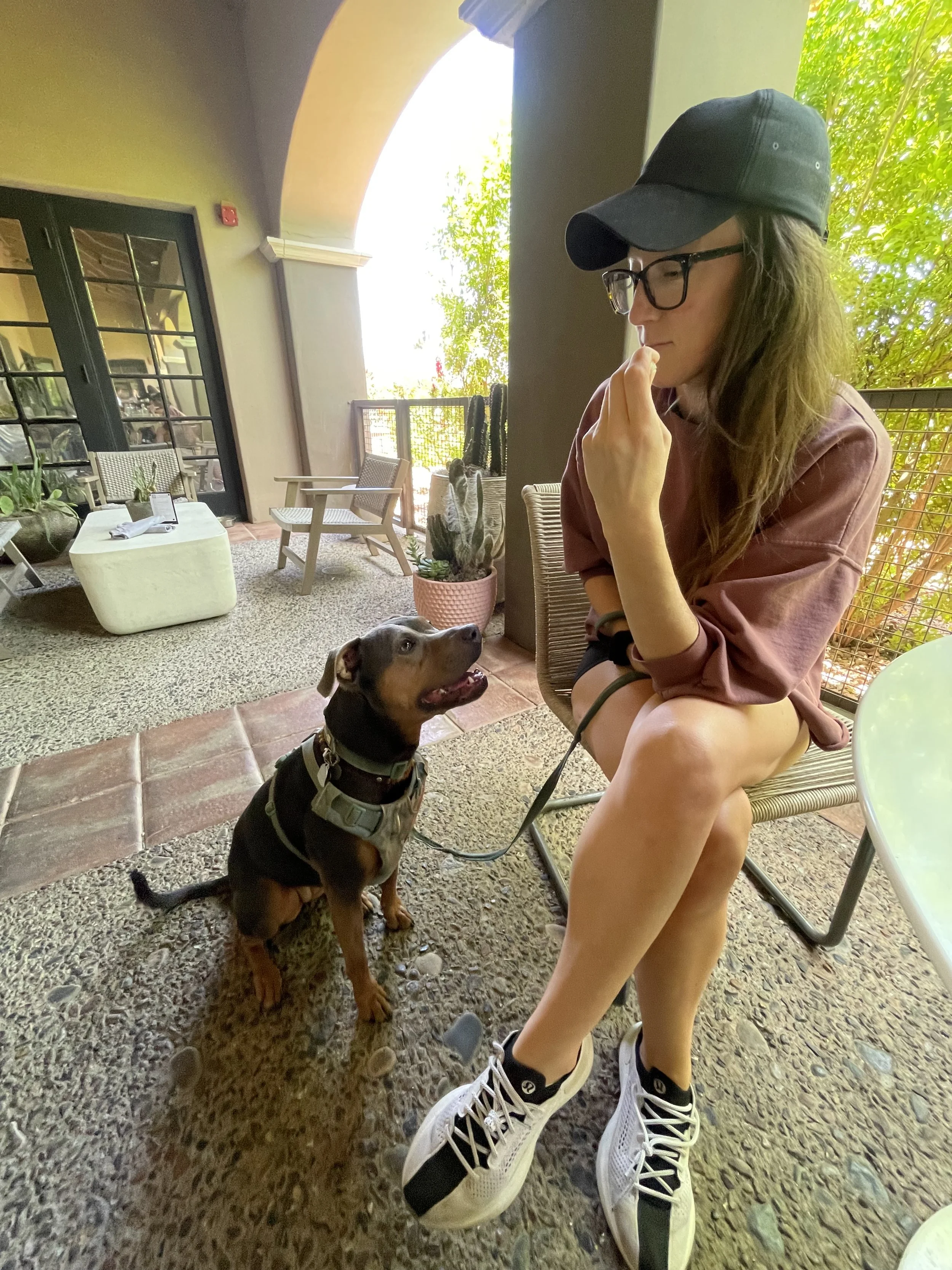 Woman sitting outdoors calmly interacting with her dog, representing healing integration, consistency, and nervous system embodiment in everyday life.