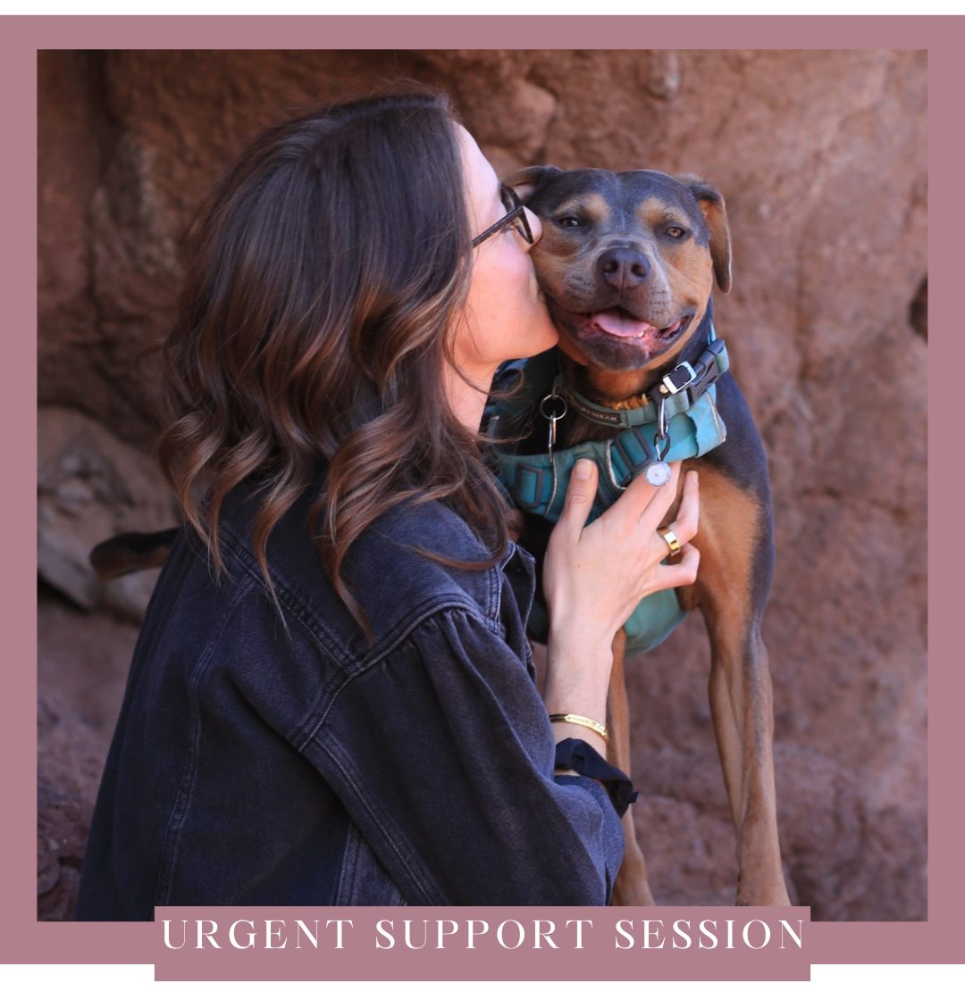 Urgent Support Distant Healing Session — 45 Minutes