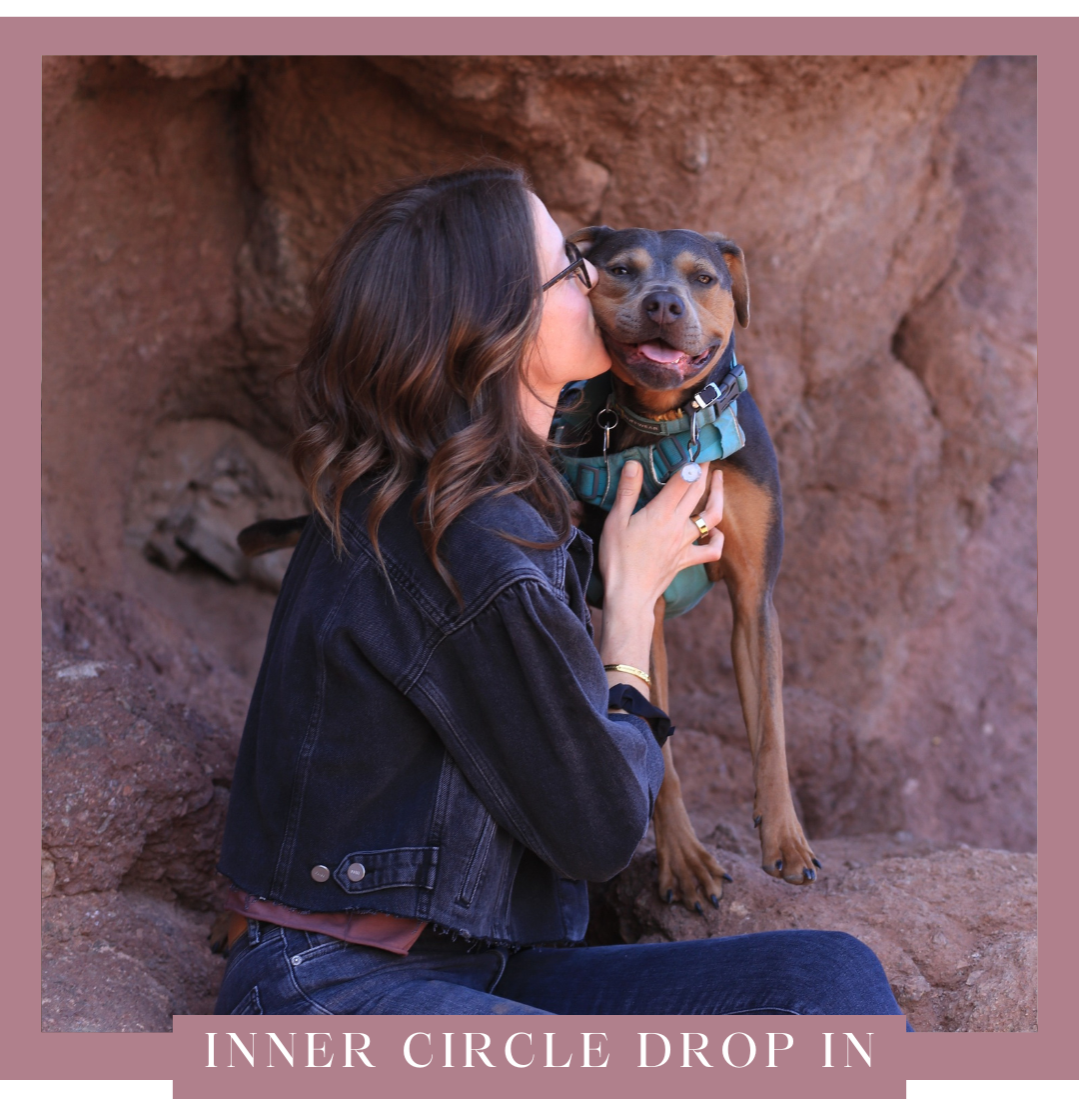 Inner Circle Drop In .png