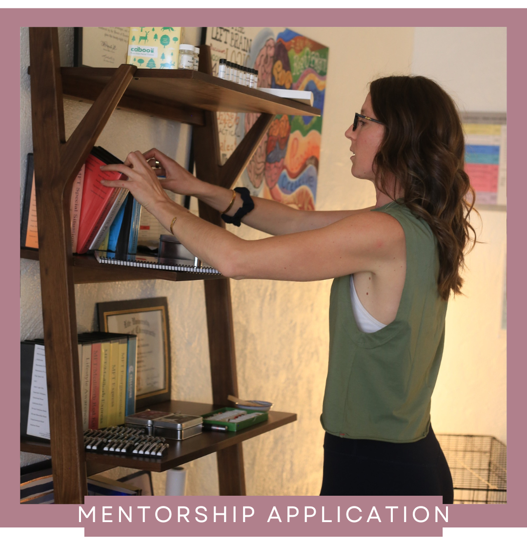 Mentorship Immersion Application Consultation