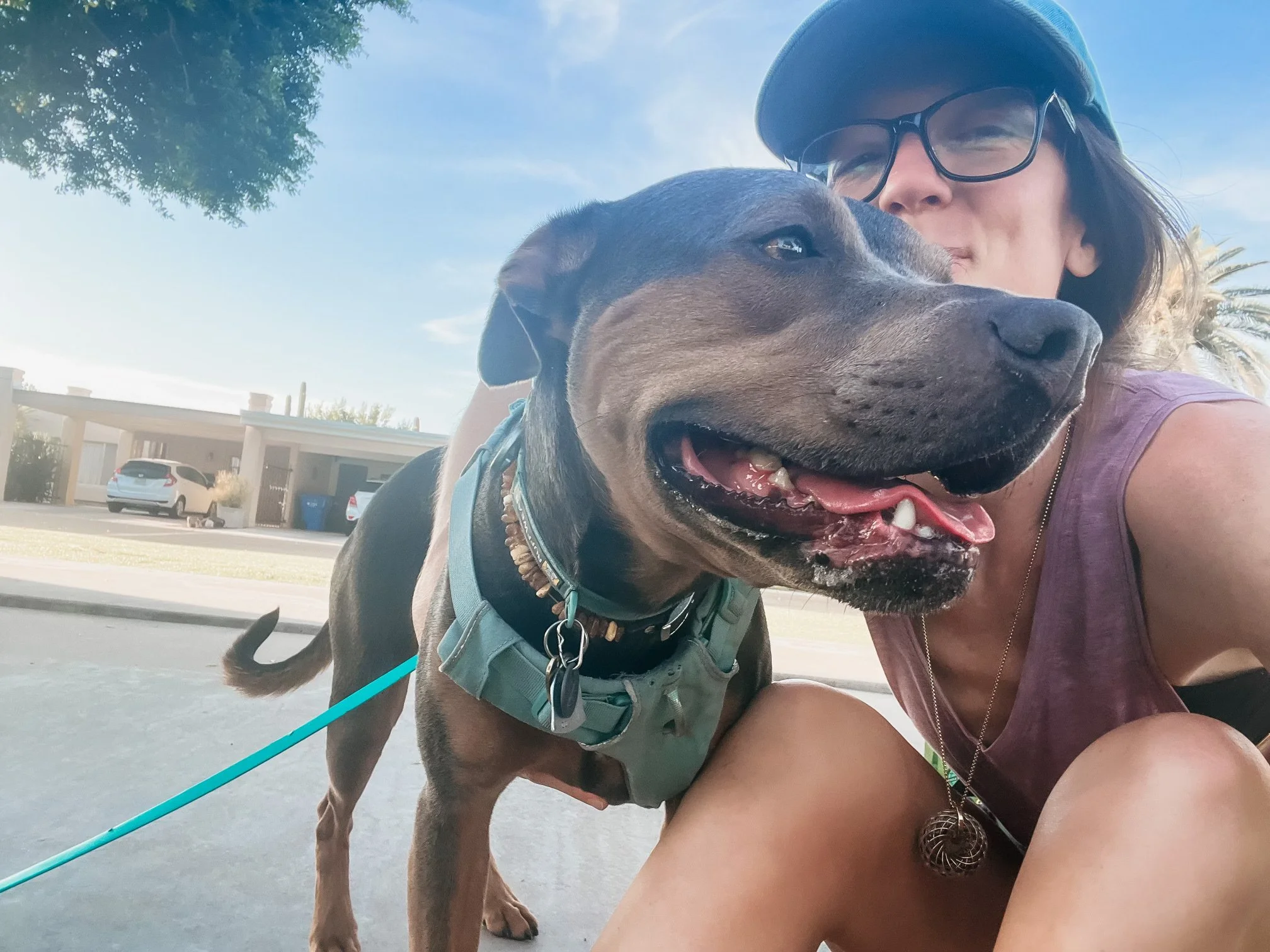 Dr. Elizabeth outdoors with her dog, both looking forward with curiosity and presence, symbolizing the transition from survival patterns into greater self-trust, embodiment, and authentic leadership.