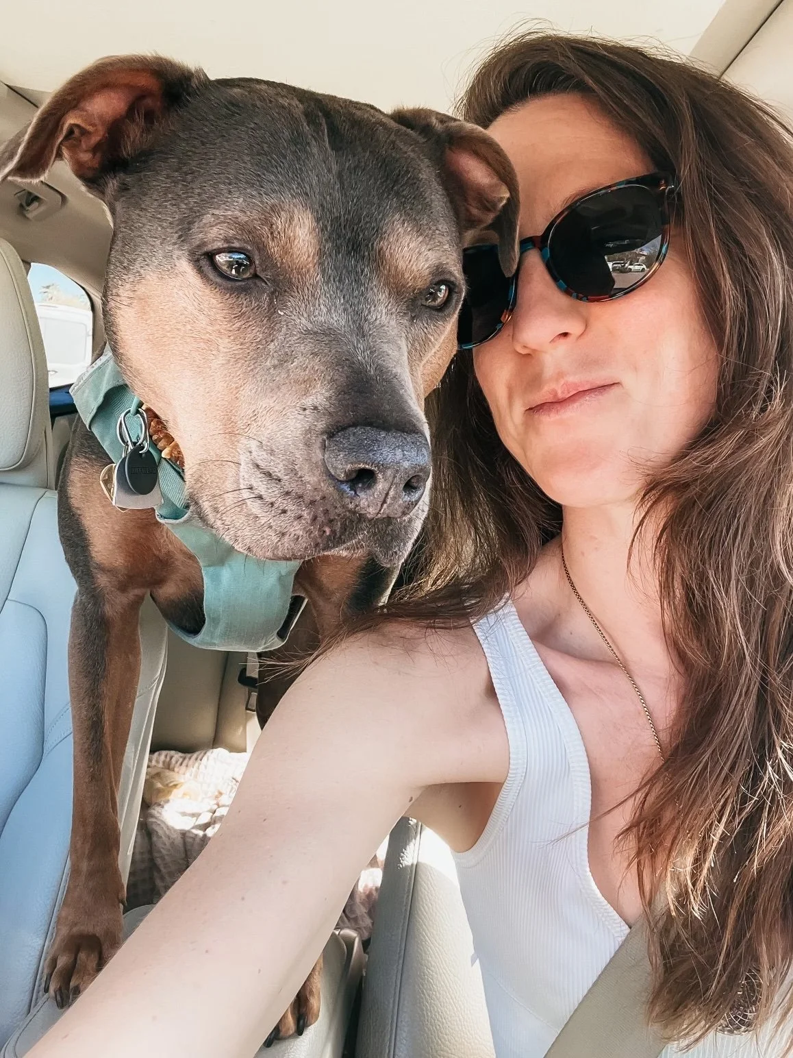 Dr. Elizabeth holding Luna in the car, reflecting on grief, resilience, and emotional integration.