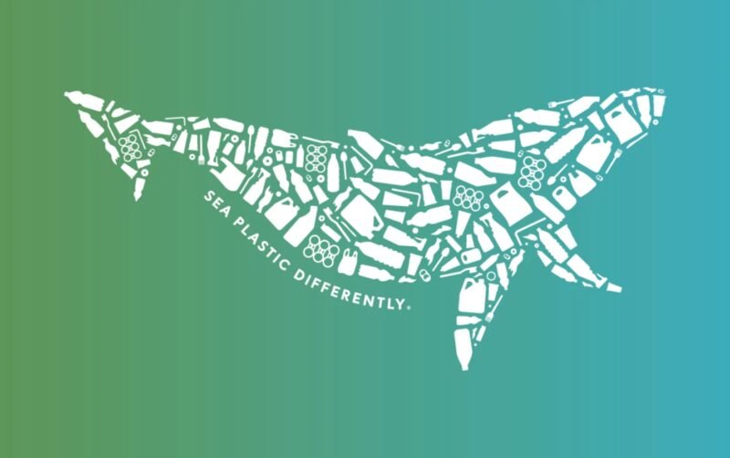 Silly Nice Reclaims 694 Pounds of Ocean-Bound Plastic in 2024