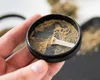 The Rise of Precision Cannabis in NYC: Why Micro-Dosing Is Replacing ...