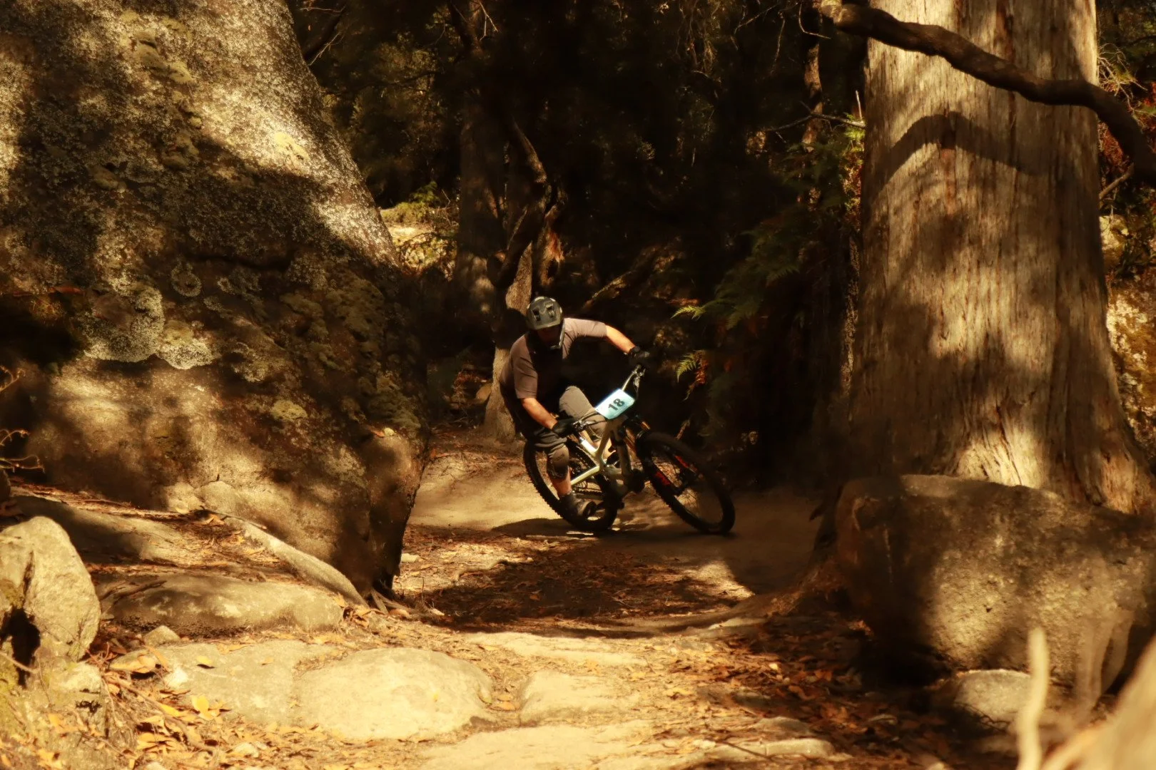 IMG_7181.JPG