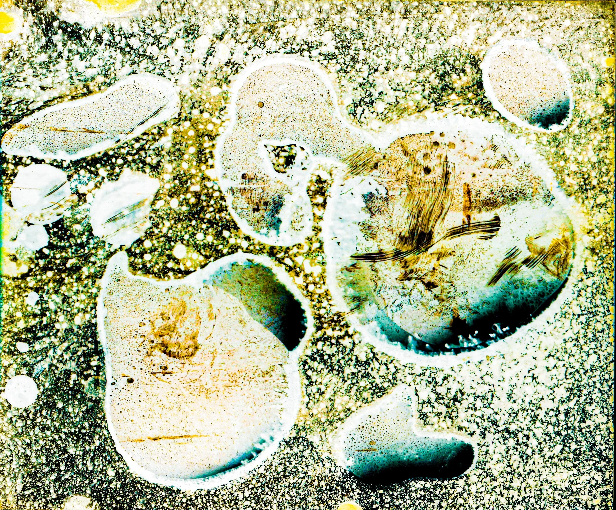 Corrosion, 2023