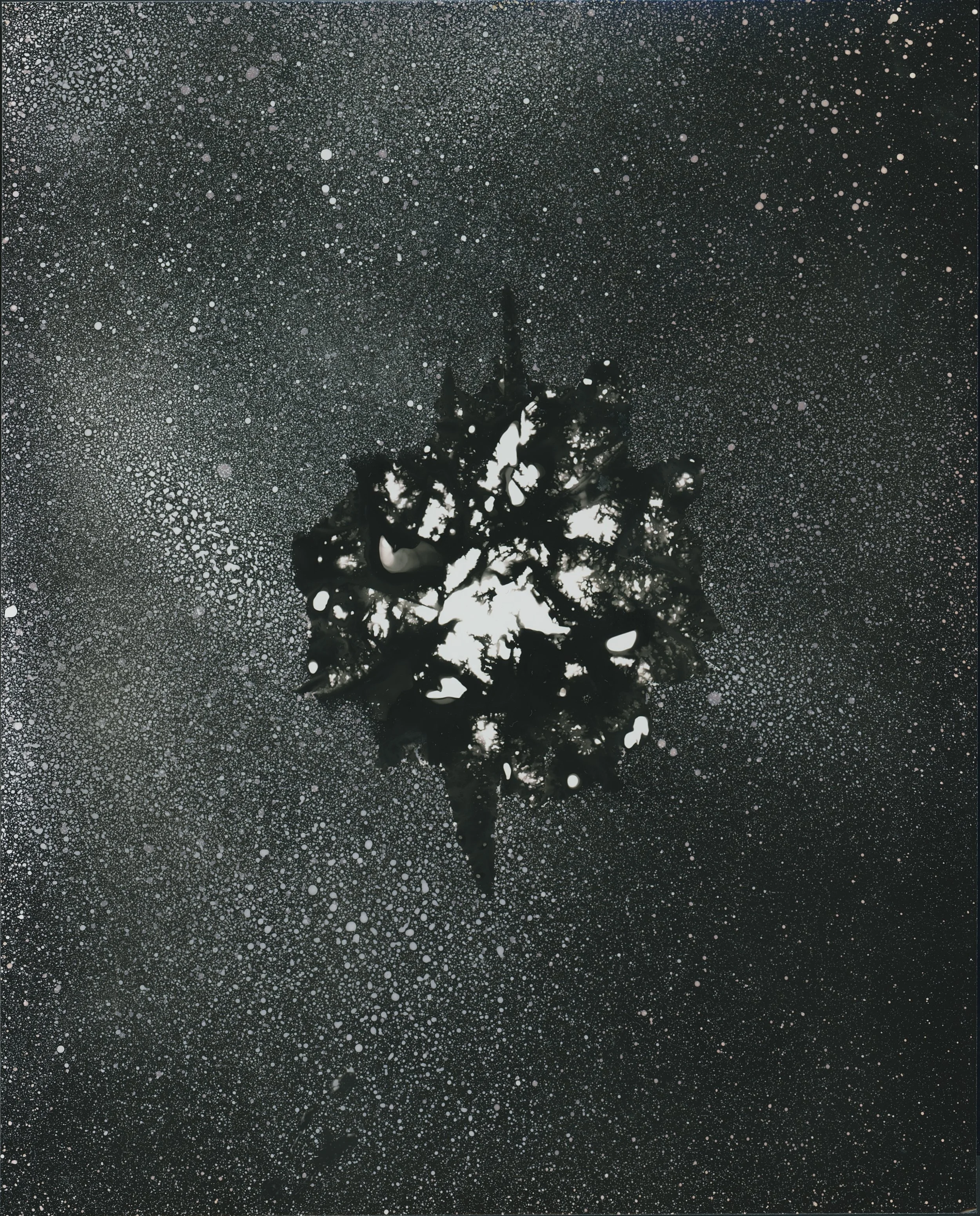 Untitled, Convergence 1, 2023