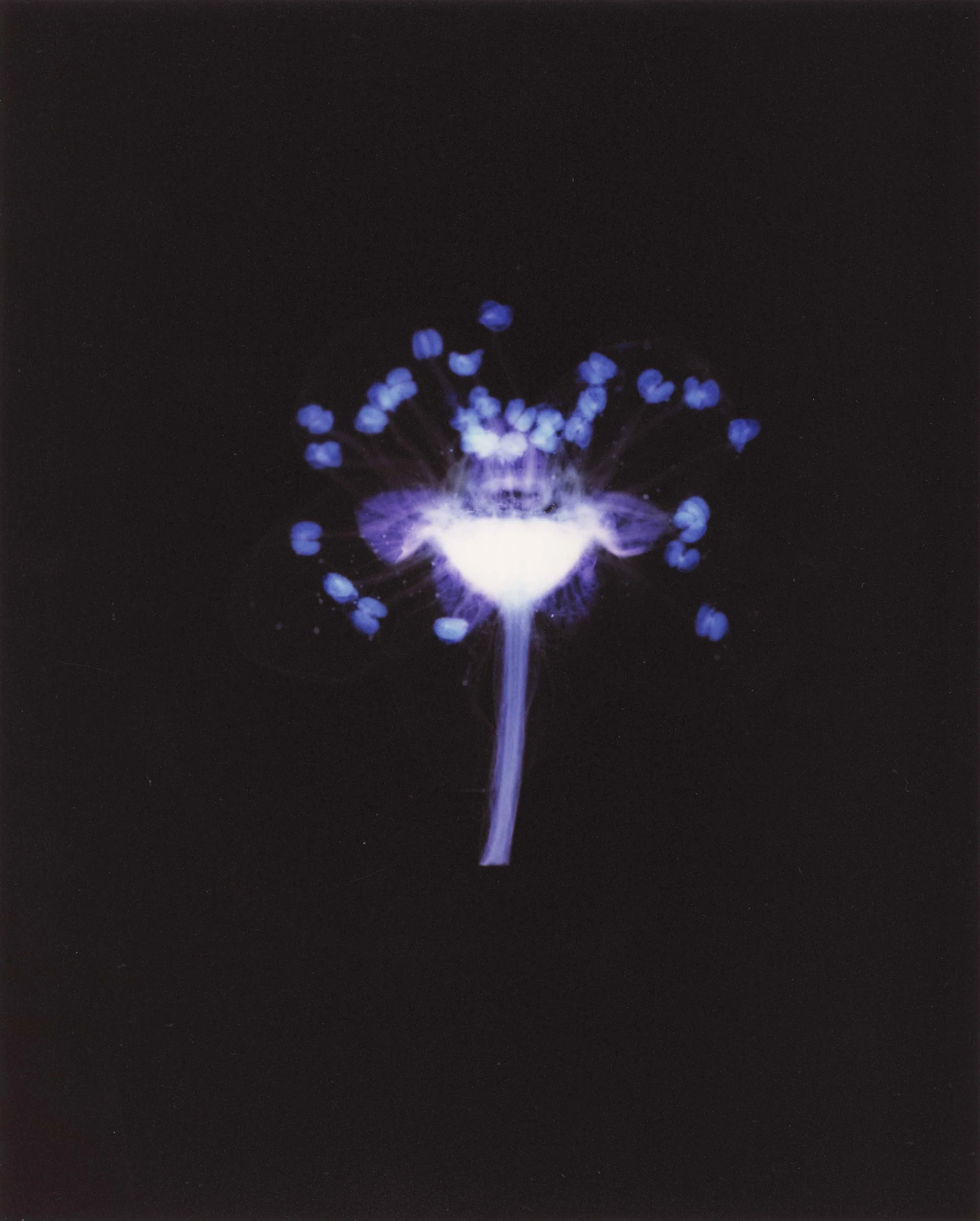 img911_2.jpg