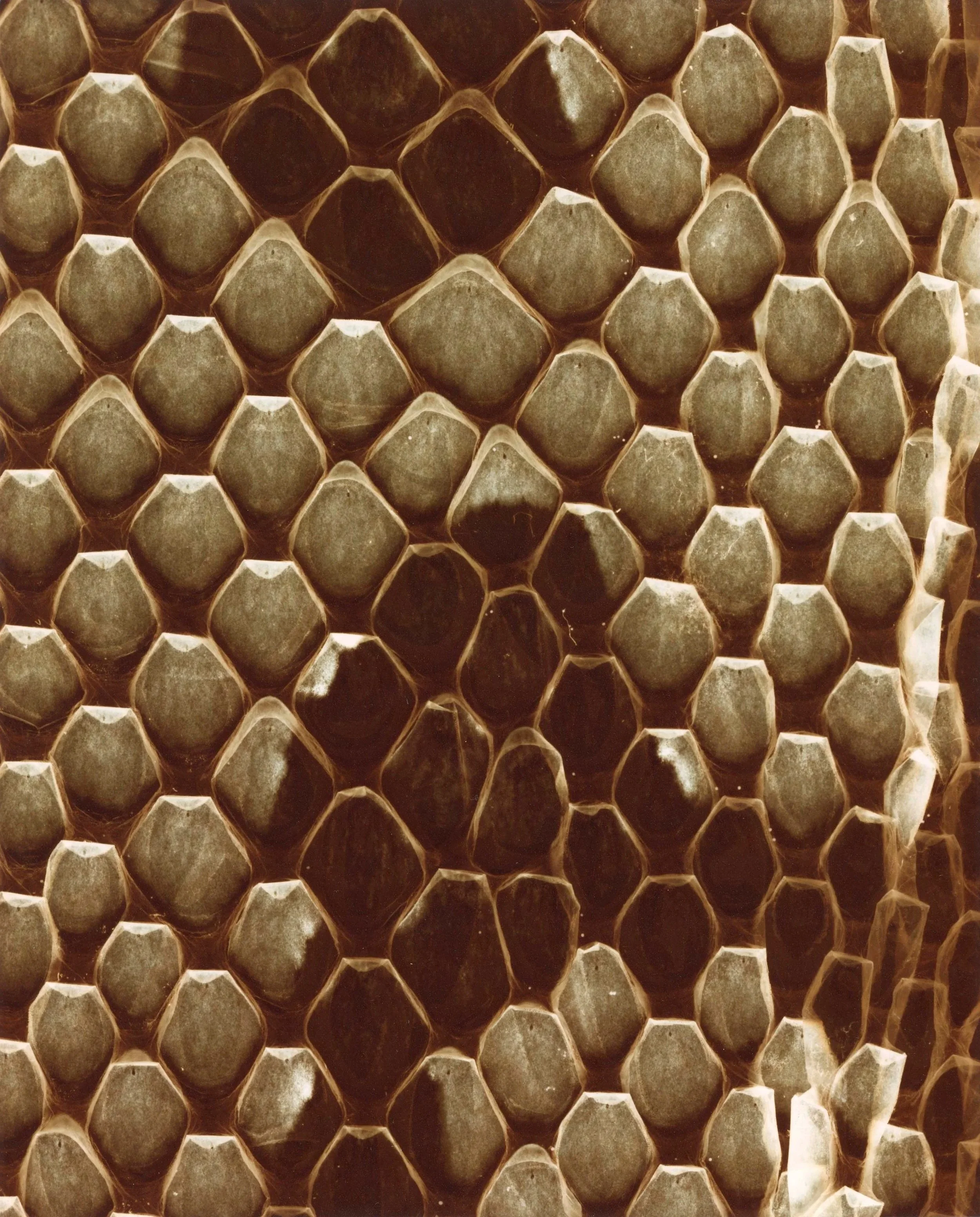 Segmented 2