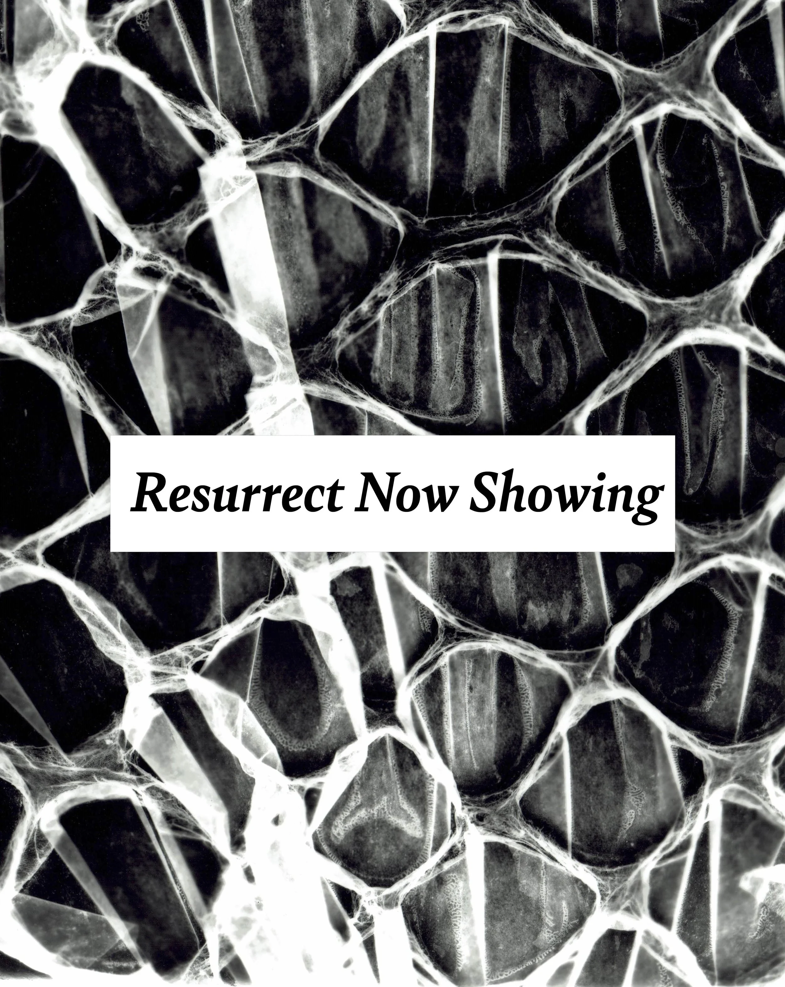 Resurrect