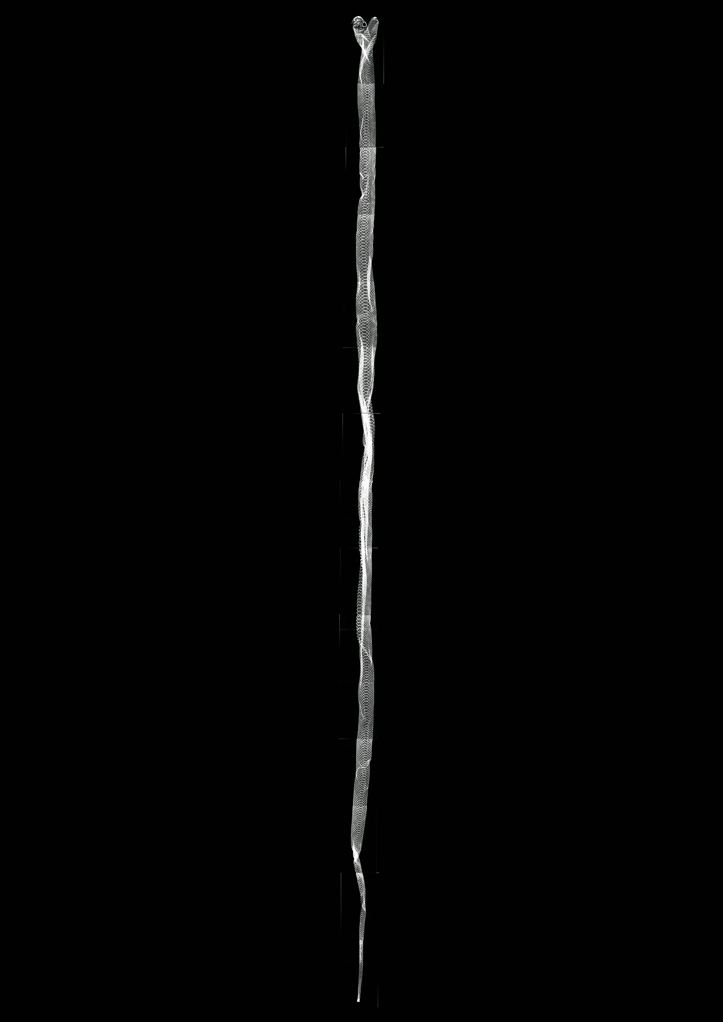 Serpent, 2023
