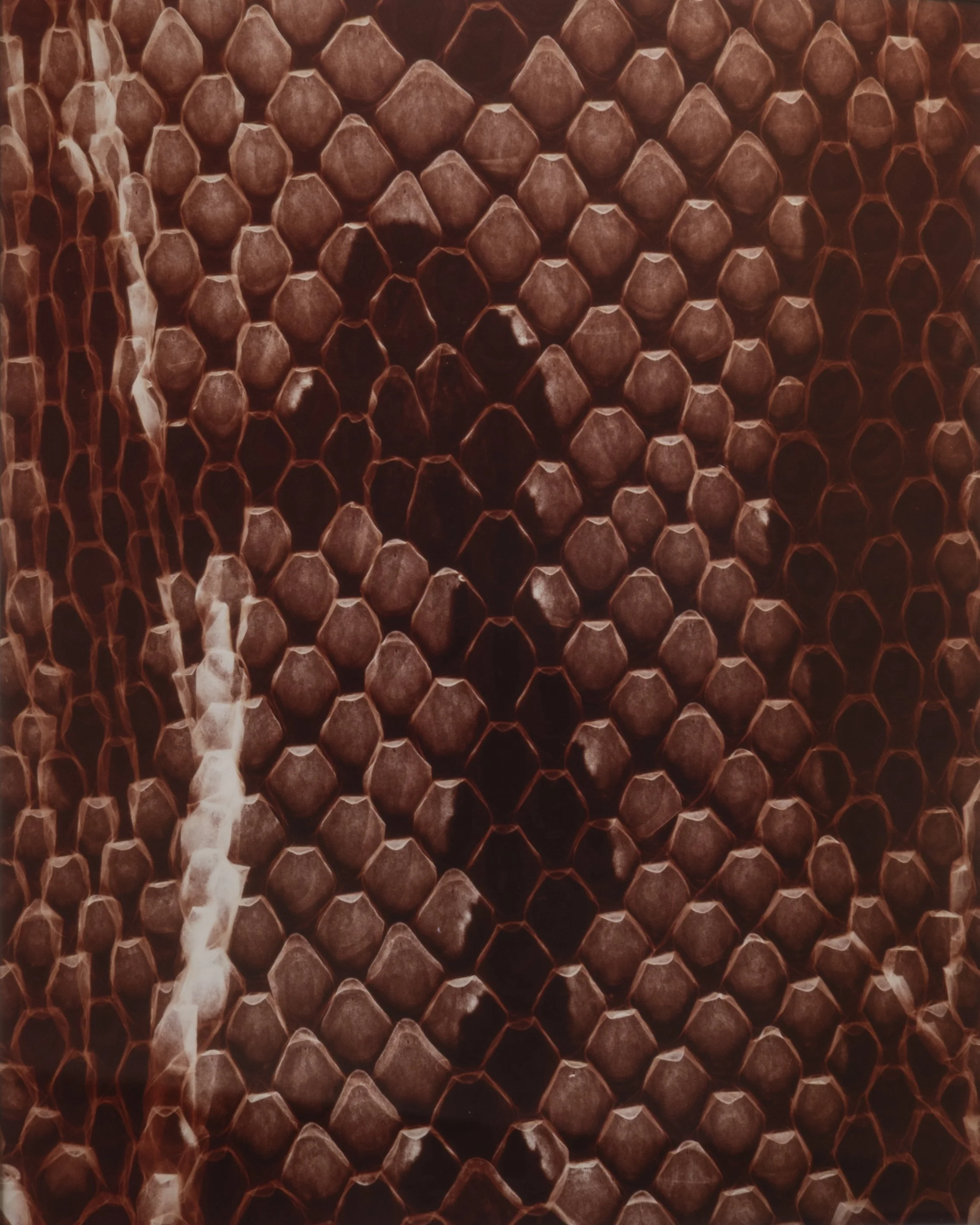 Segmented 1