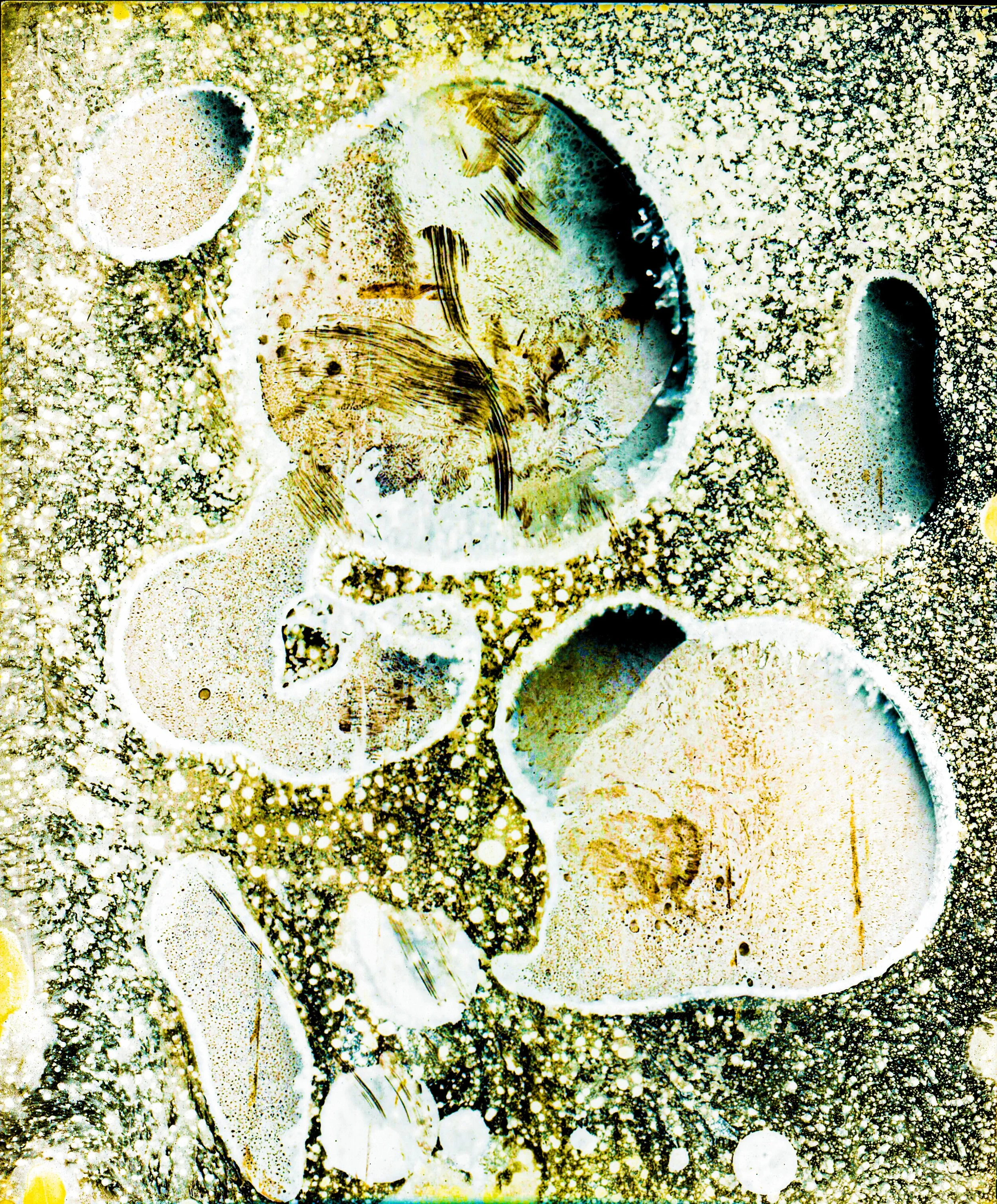 Corrosion, 2023