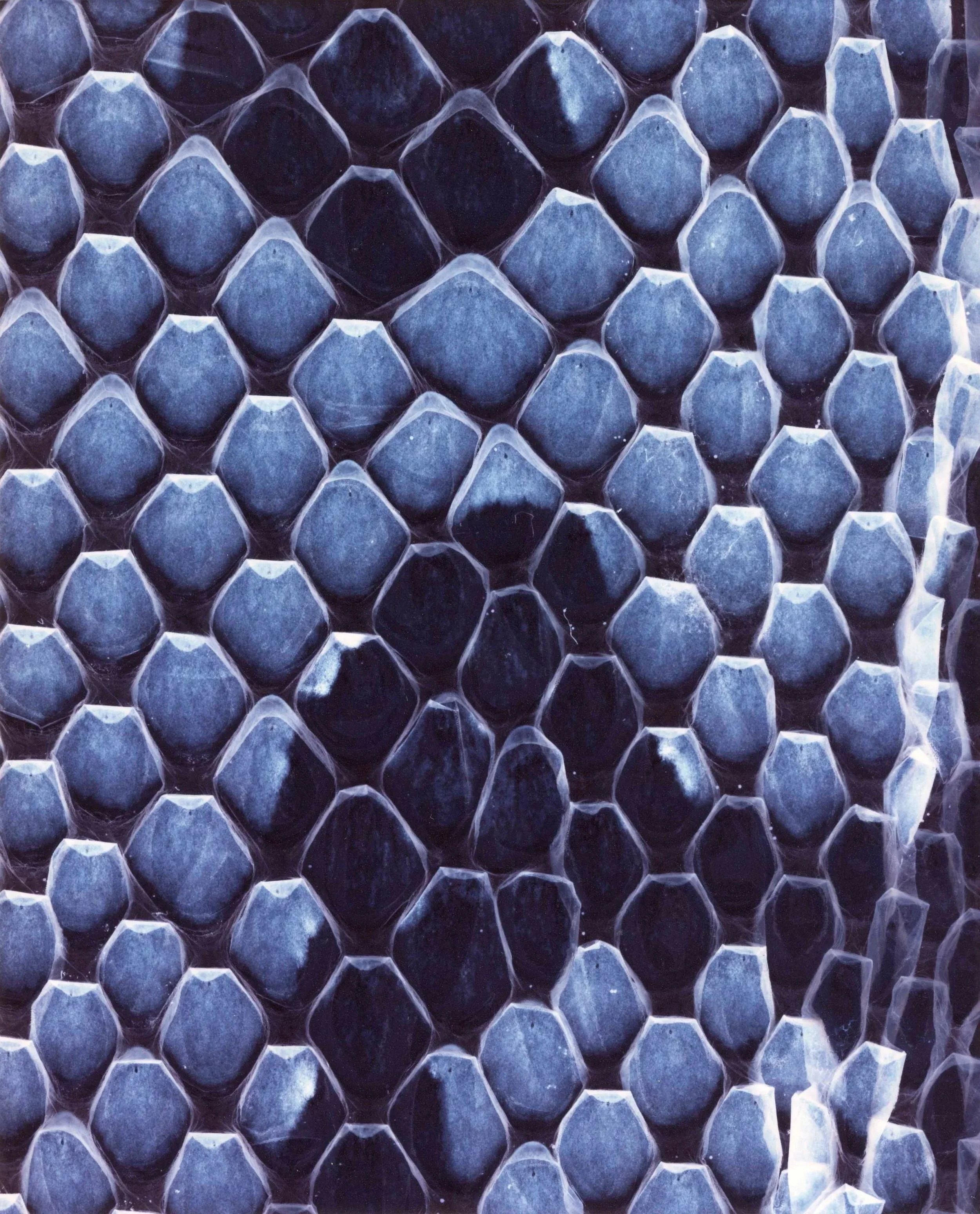 Segmented 3
